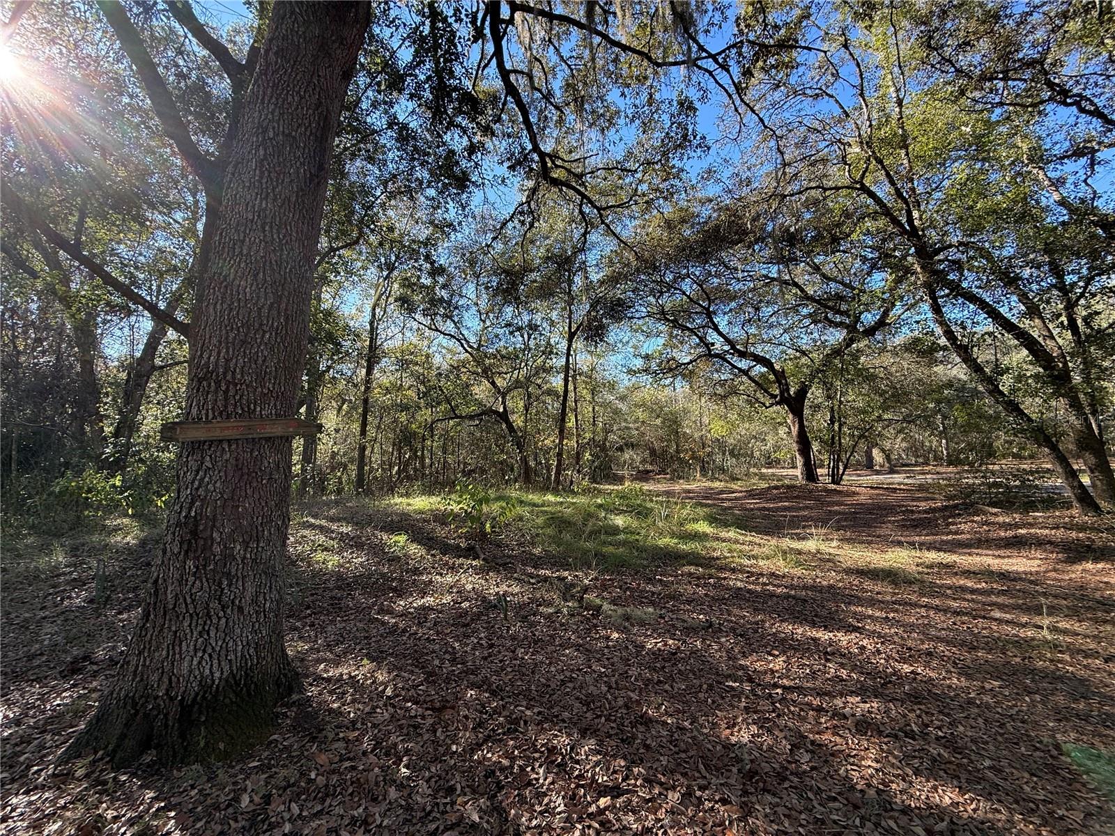 132 POND SIDE TRL, HAWTHORNE, FL — photo 8