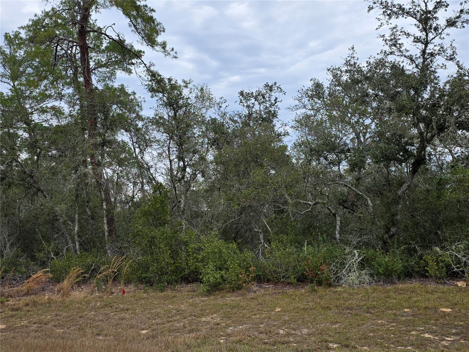165 SW STREET RD, OCALA, FL