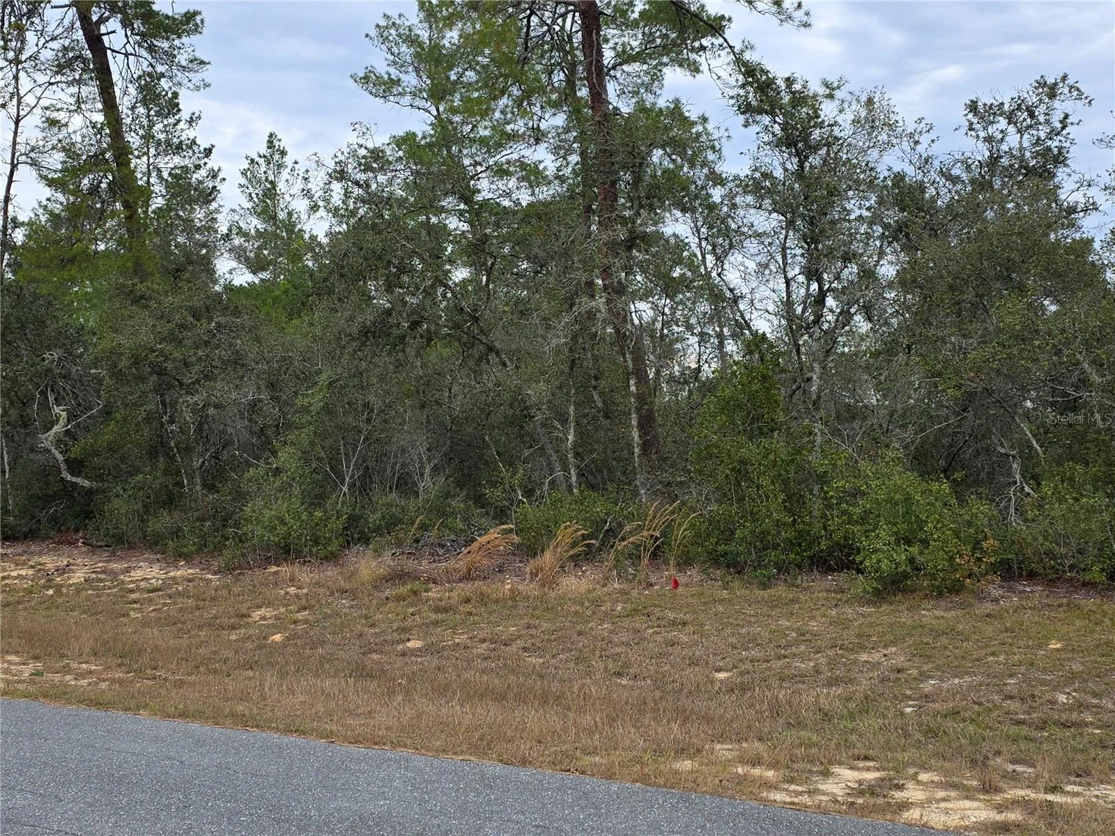 165 SW STREET RD, OCALA, FL — photo 4