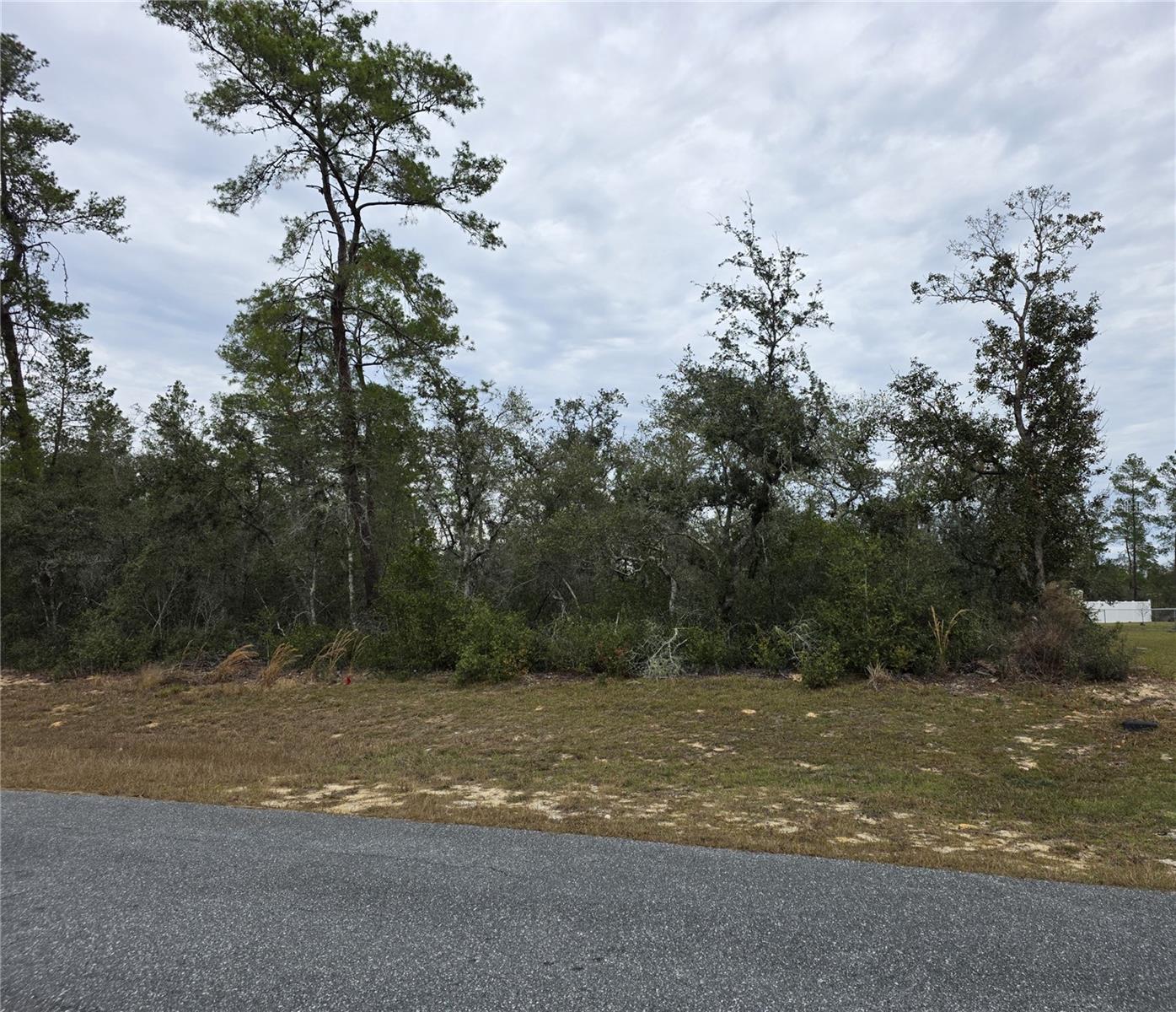 165 SW STREET RD, OCALA, FL — photo 5