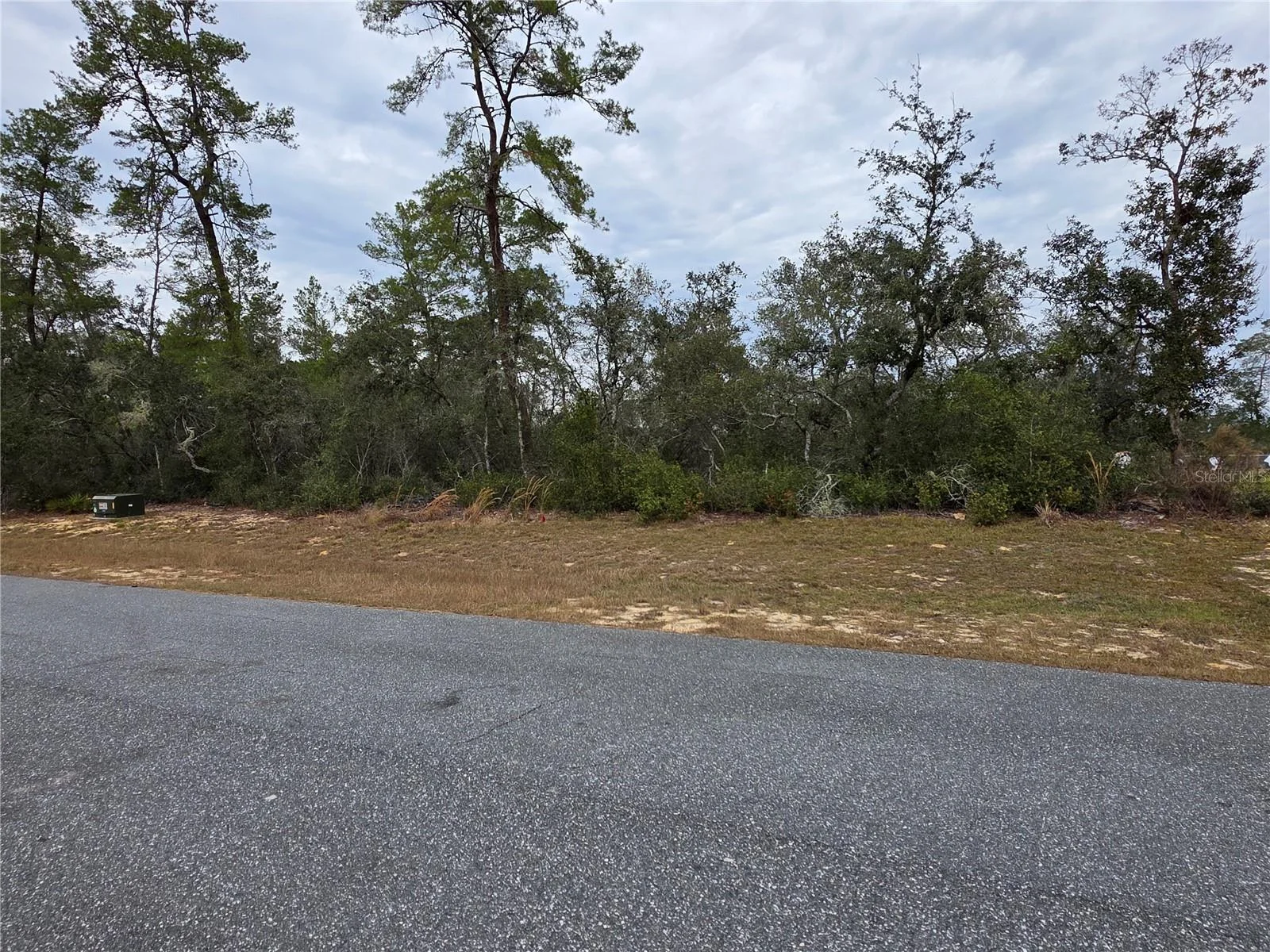165 SW STREET RD, OCALA, FL — photo 10
