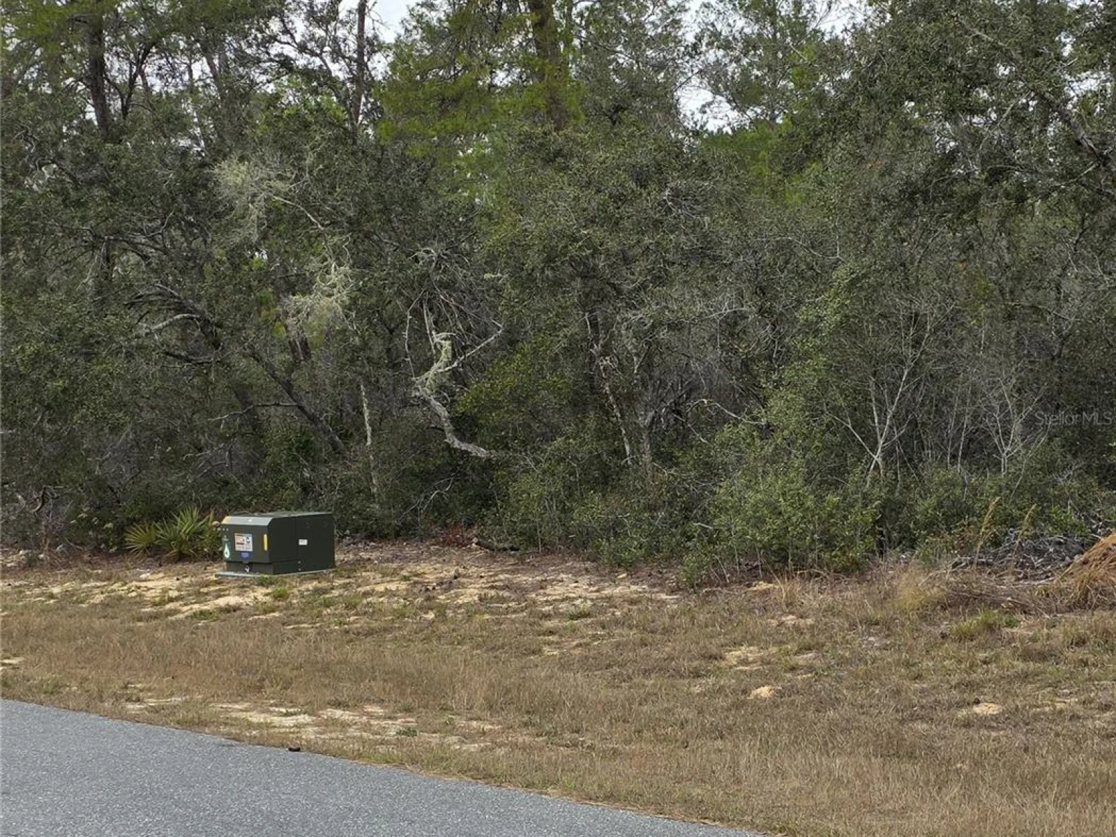 165 SW STREET RD, OCALA, FL — photo 12