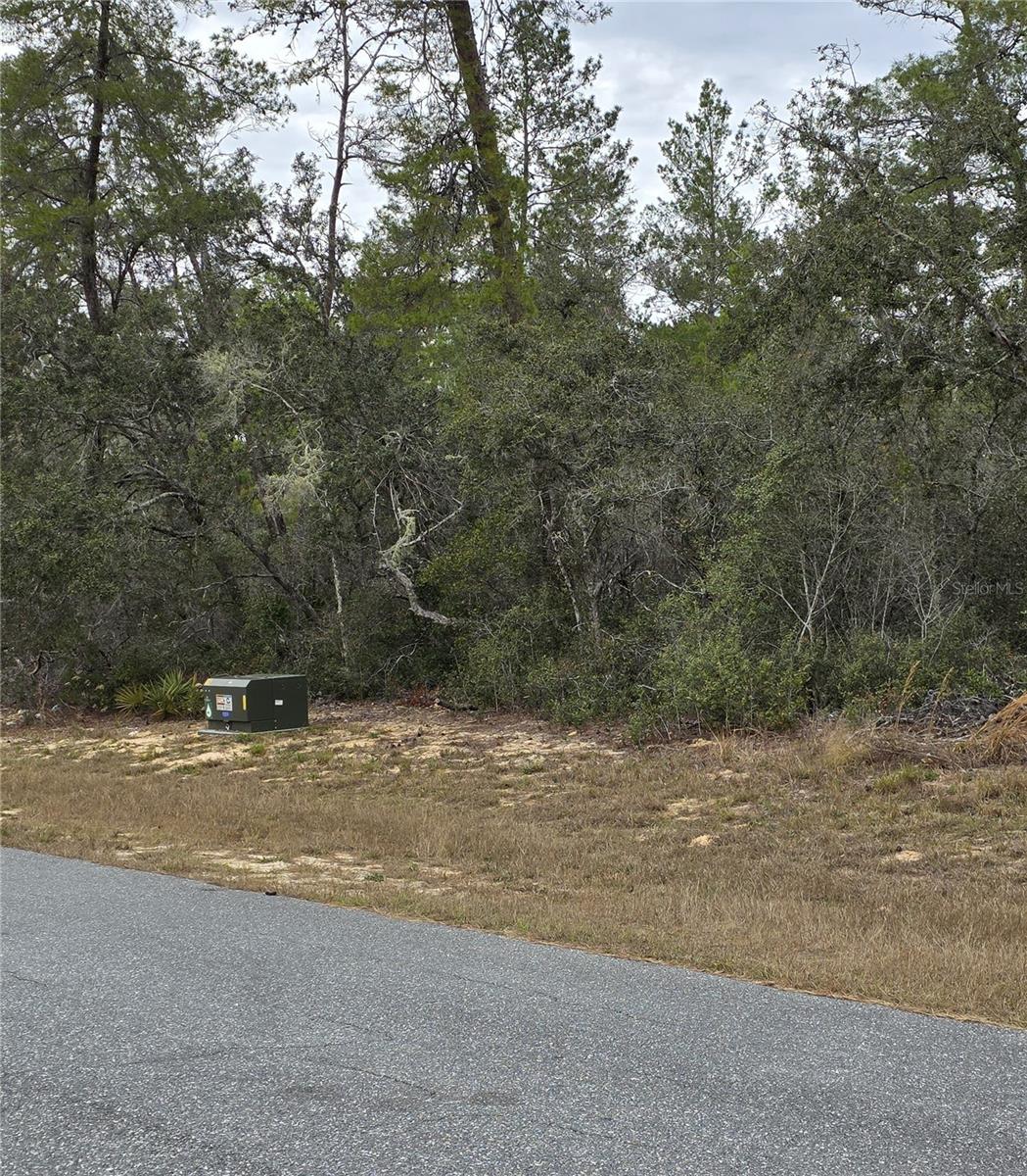 165 SW STREET RD, OCALA, FL — photo 11