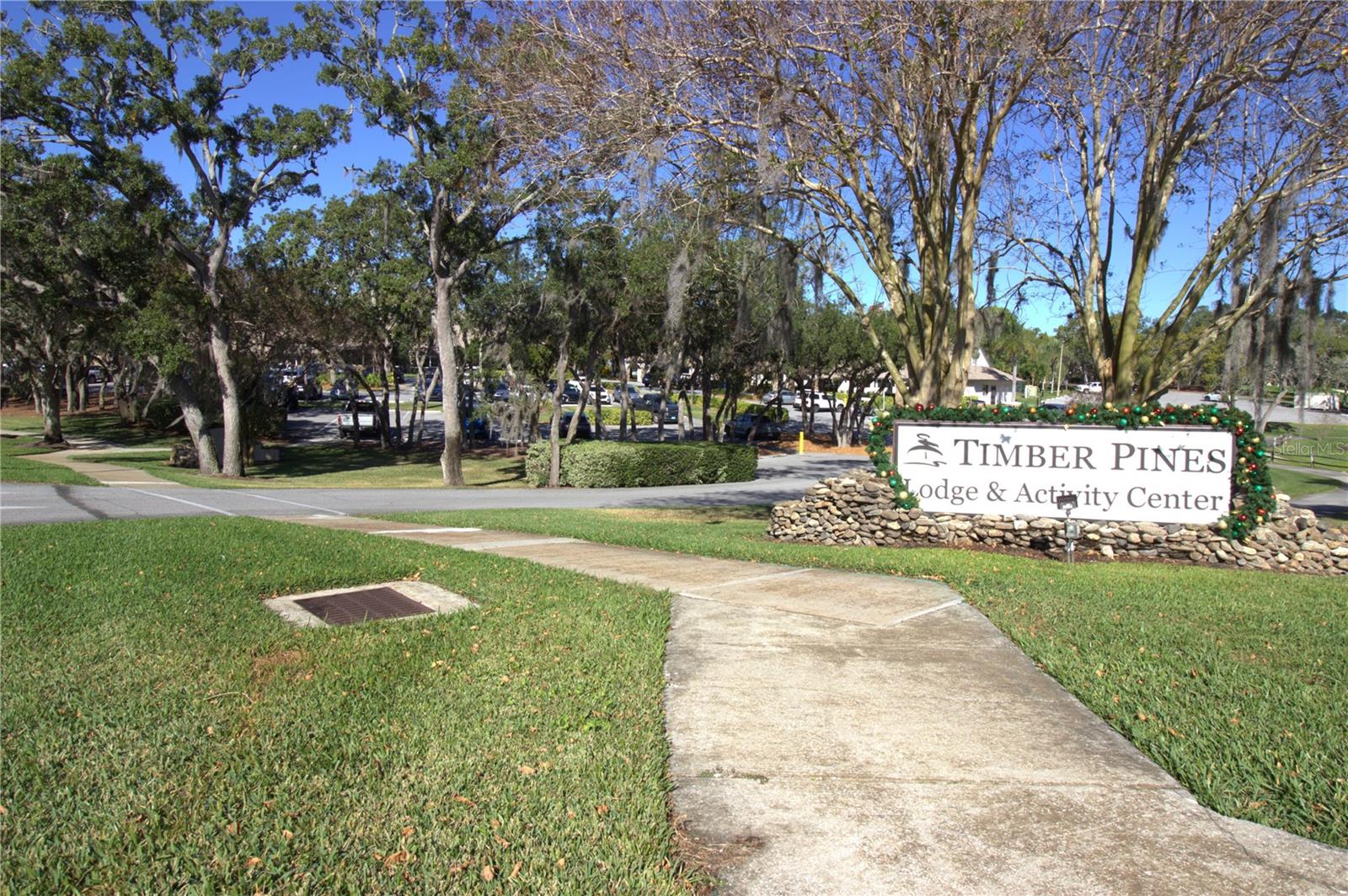 2113 SPRINGMEADOW DR, SPRING HILL, FL — photo 58