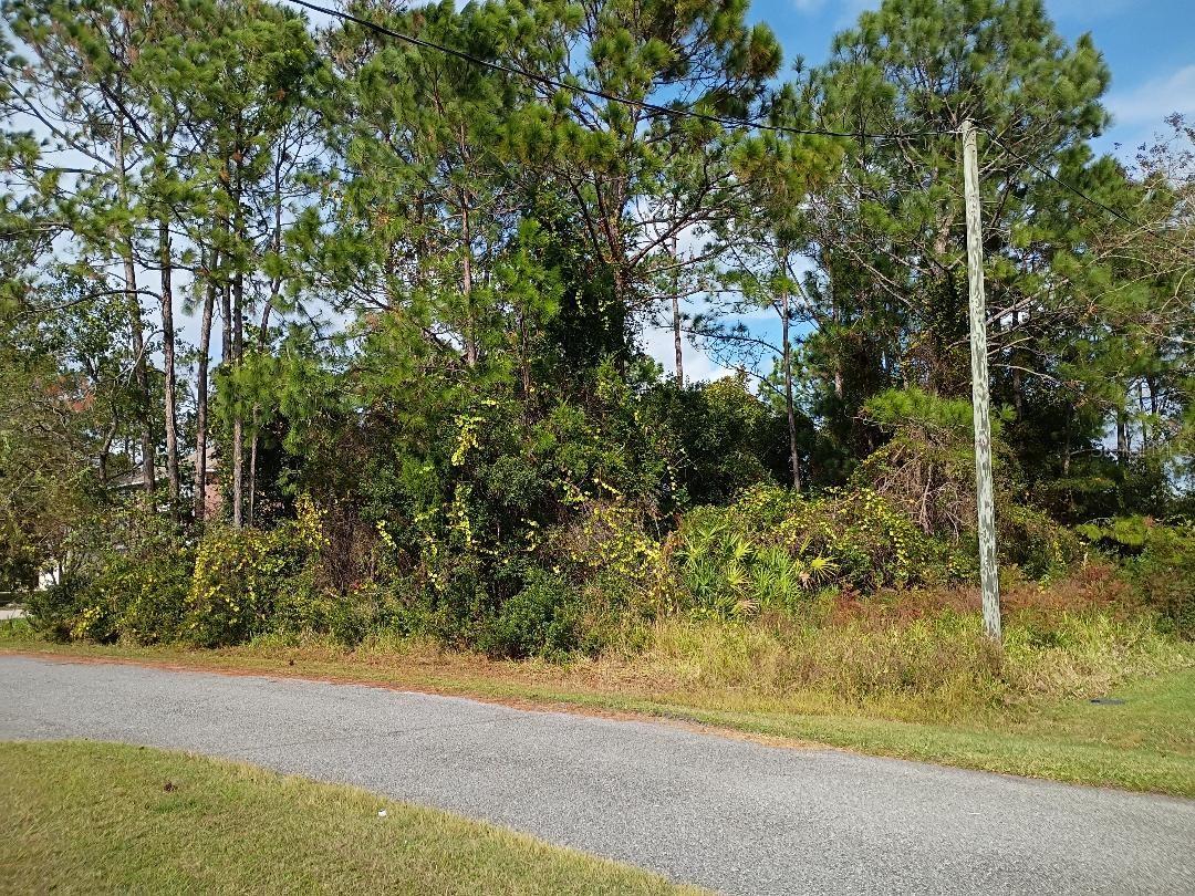 36 BUFFALO MEADOW LN, PALM COAST, FL