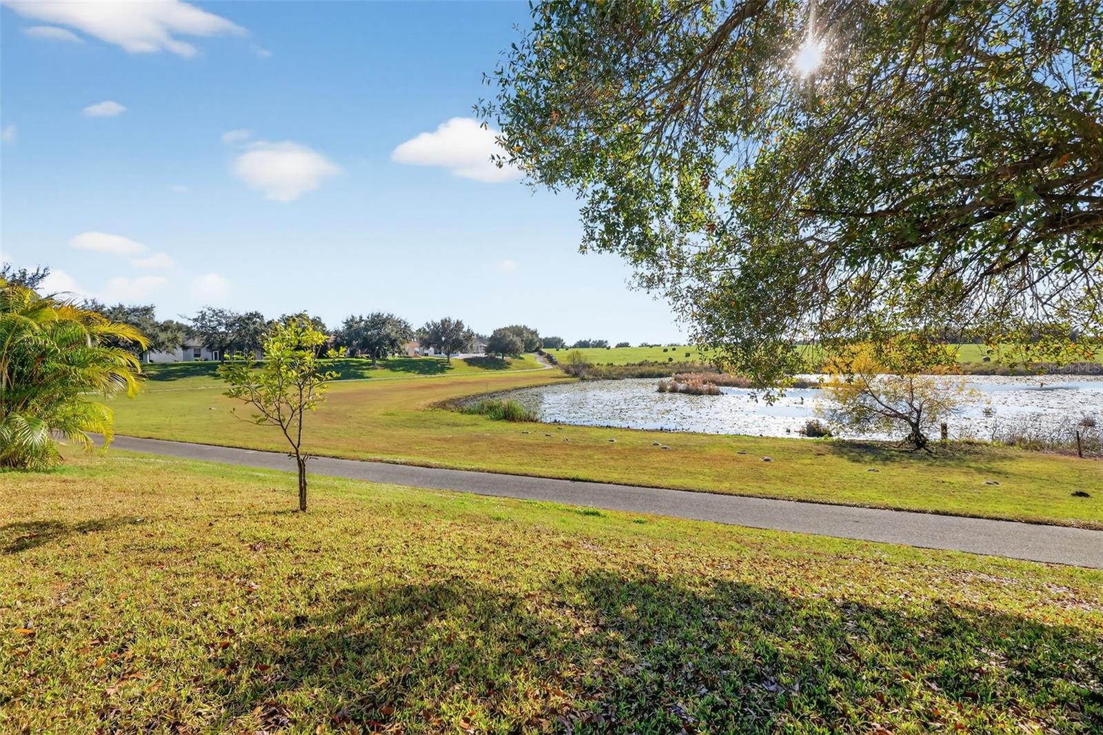 25501 MAUREPAS LN, LEESBURG, FL — photo 54