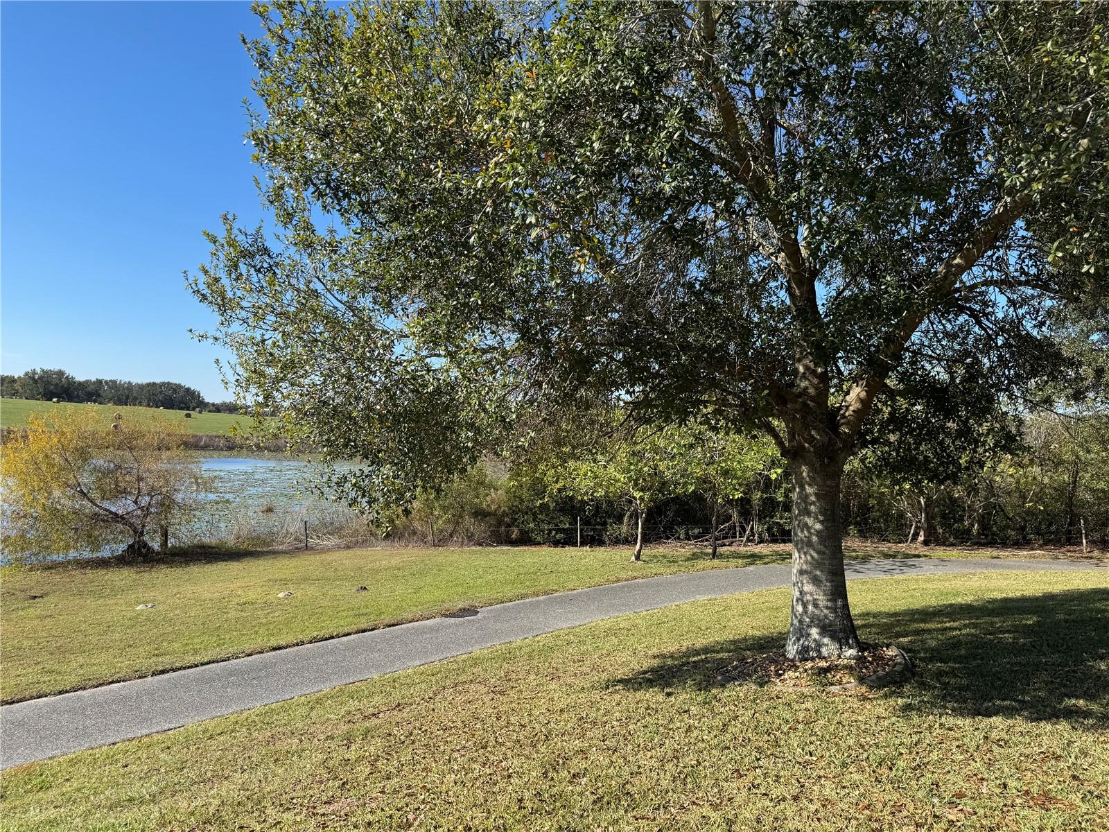 25501 MAUREPAS LN, LEESBURG, FL — photo 55