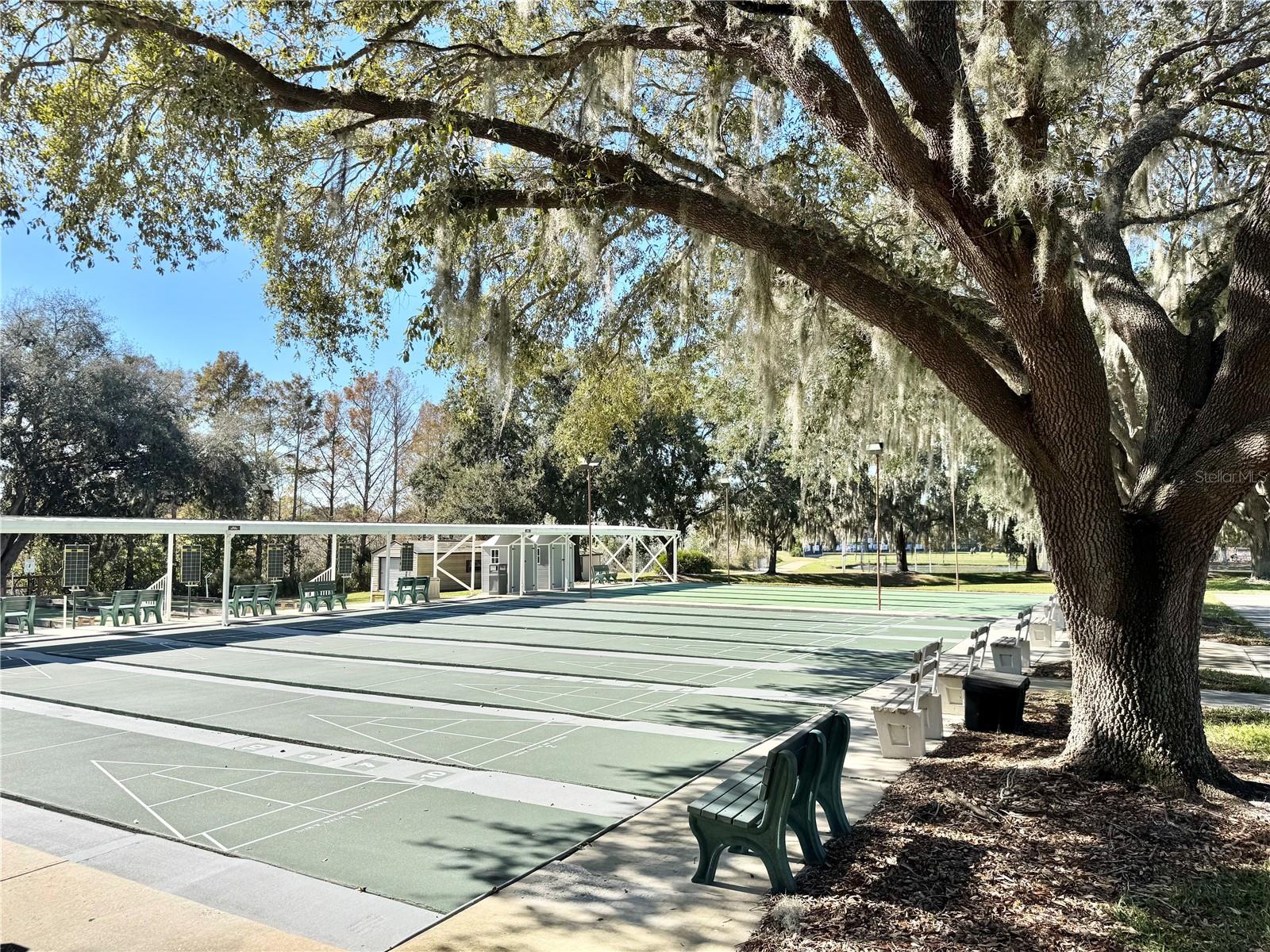 25501 MAUREPAS LN, LEESBURG, FL — photo 94