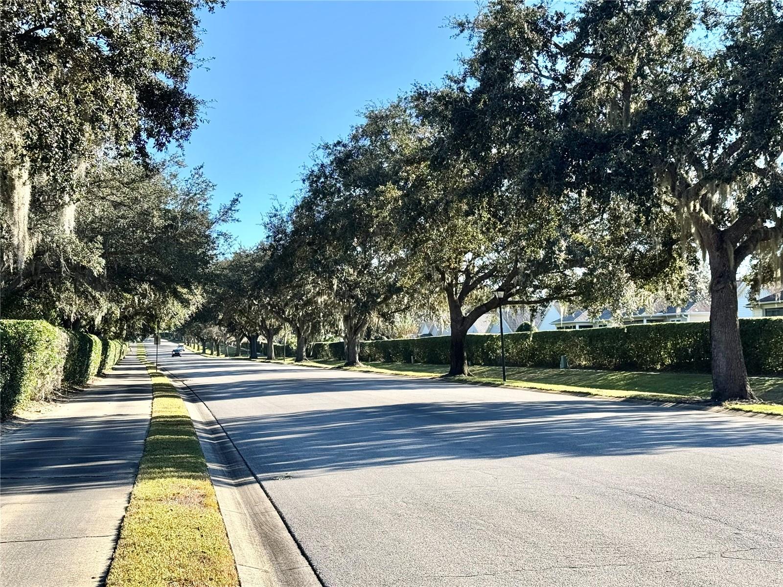 25501 MAUREPAS LN, LEESBURG, FL — photo 100