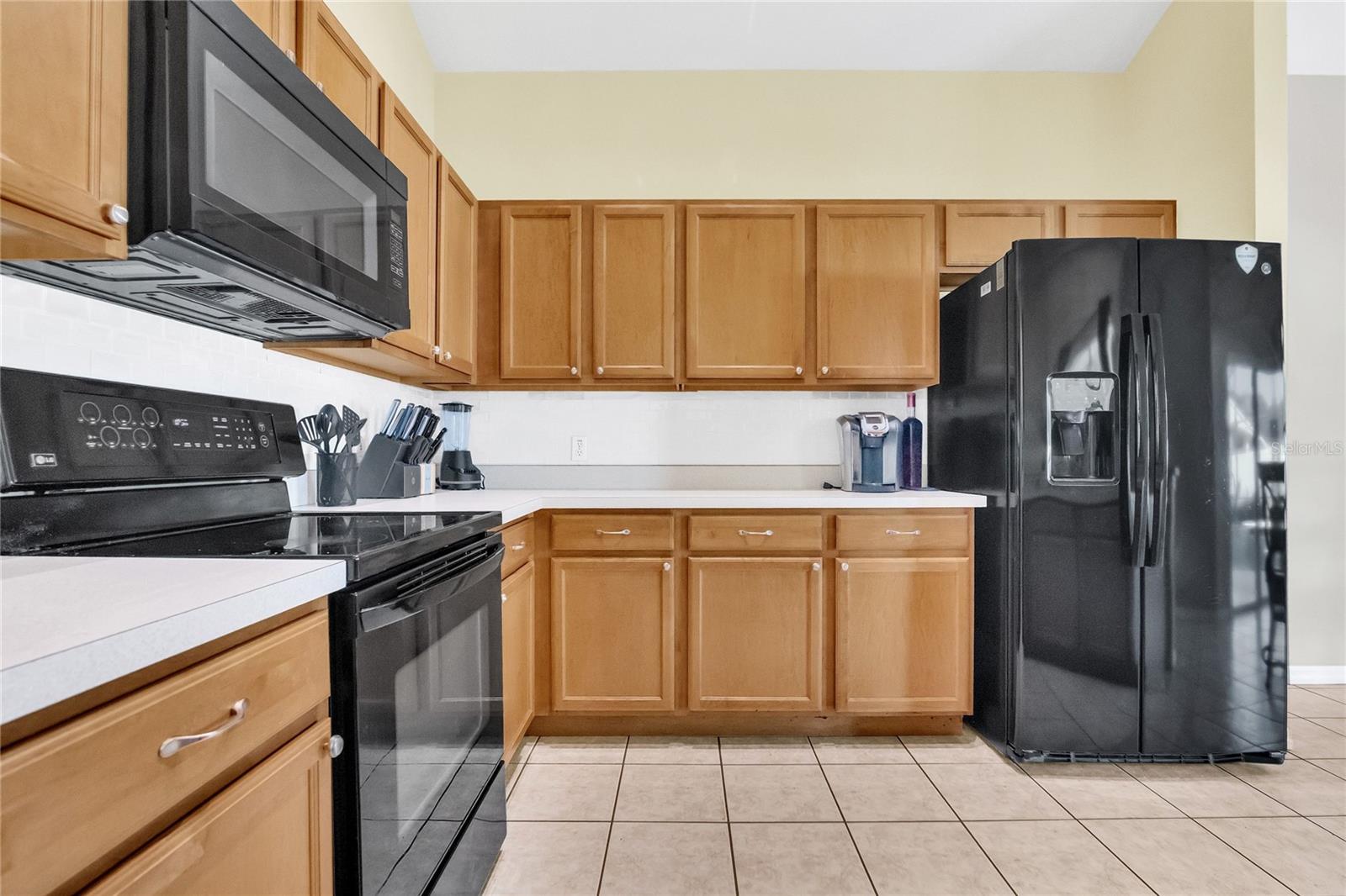 2915 BLOOMING ALAMANDA LOOP, KISSIMMEE, FL — photo 12