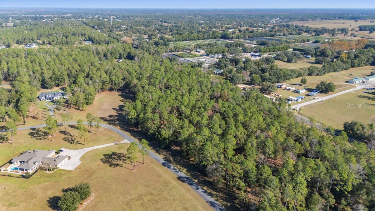 24238 DEEP SPRINGS LOOP, EUSTIS, FL — photo 10