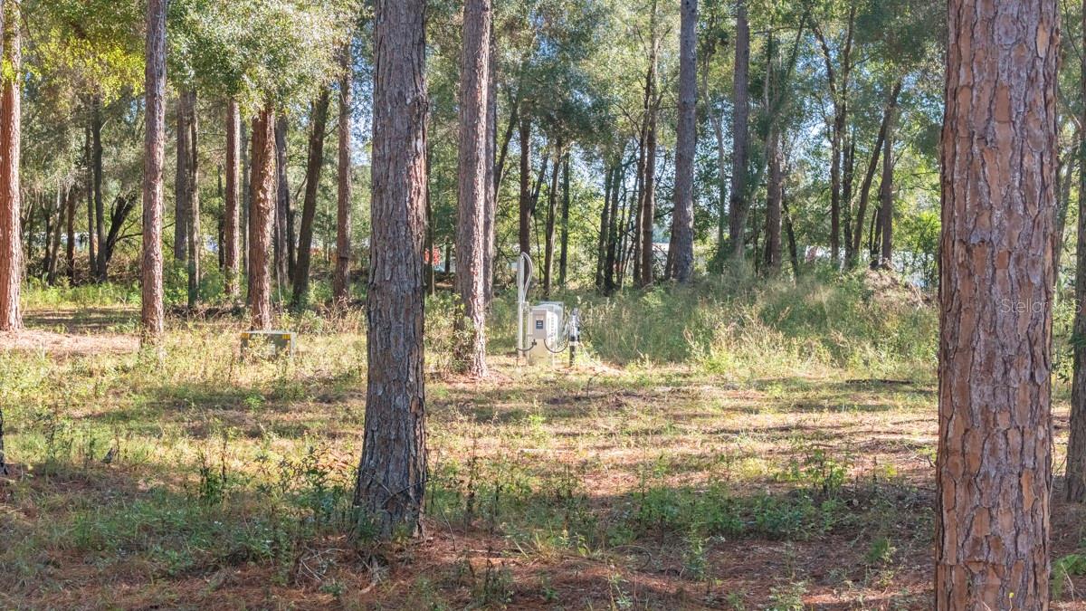 24238 DEEP SPRINGS LOOP, EUSTIS, FL — photo 14