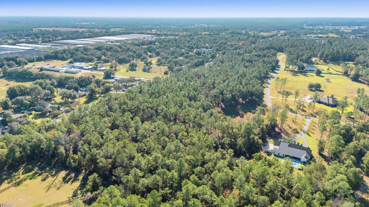 24238 DEEP SPRINGS LOOP, EUSTIS, FL — photo 15