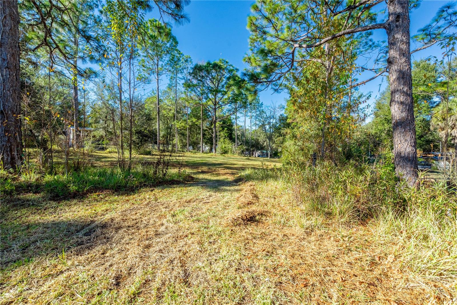 11216 NE 63RD PL, WILLISTON, FL — photo 7