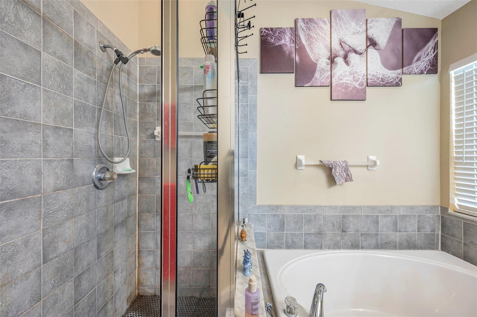 12308 ADVENTURE DR, RIVERVIEW, FL — photo 23