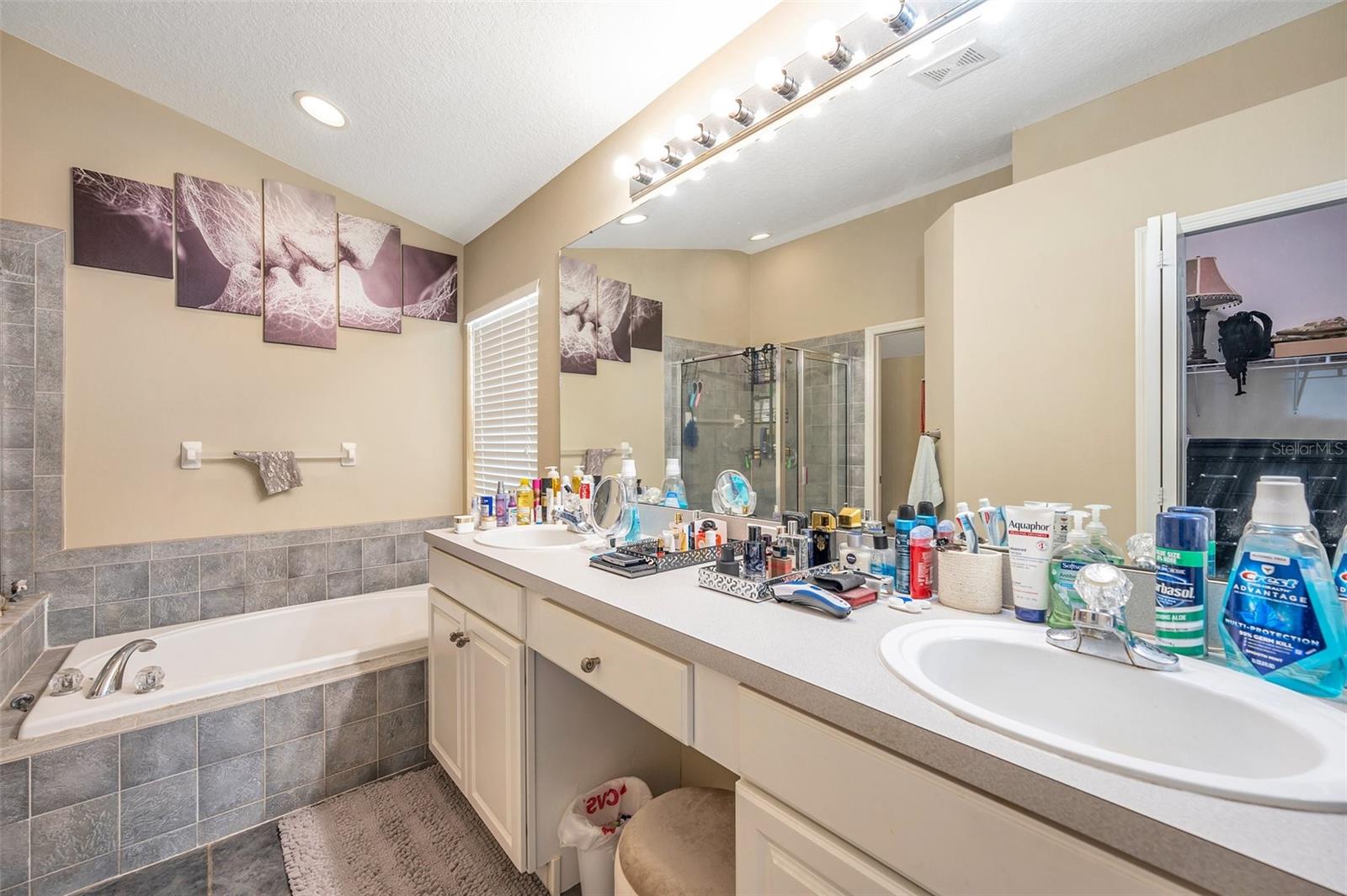 12308 ADVENTURE DR, RIVERVIEW, FL — photo 24