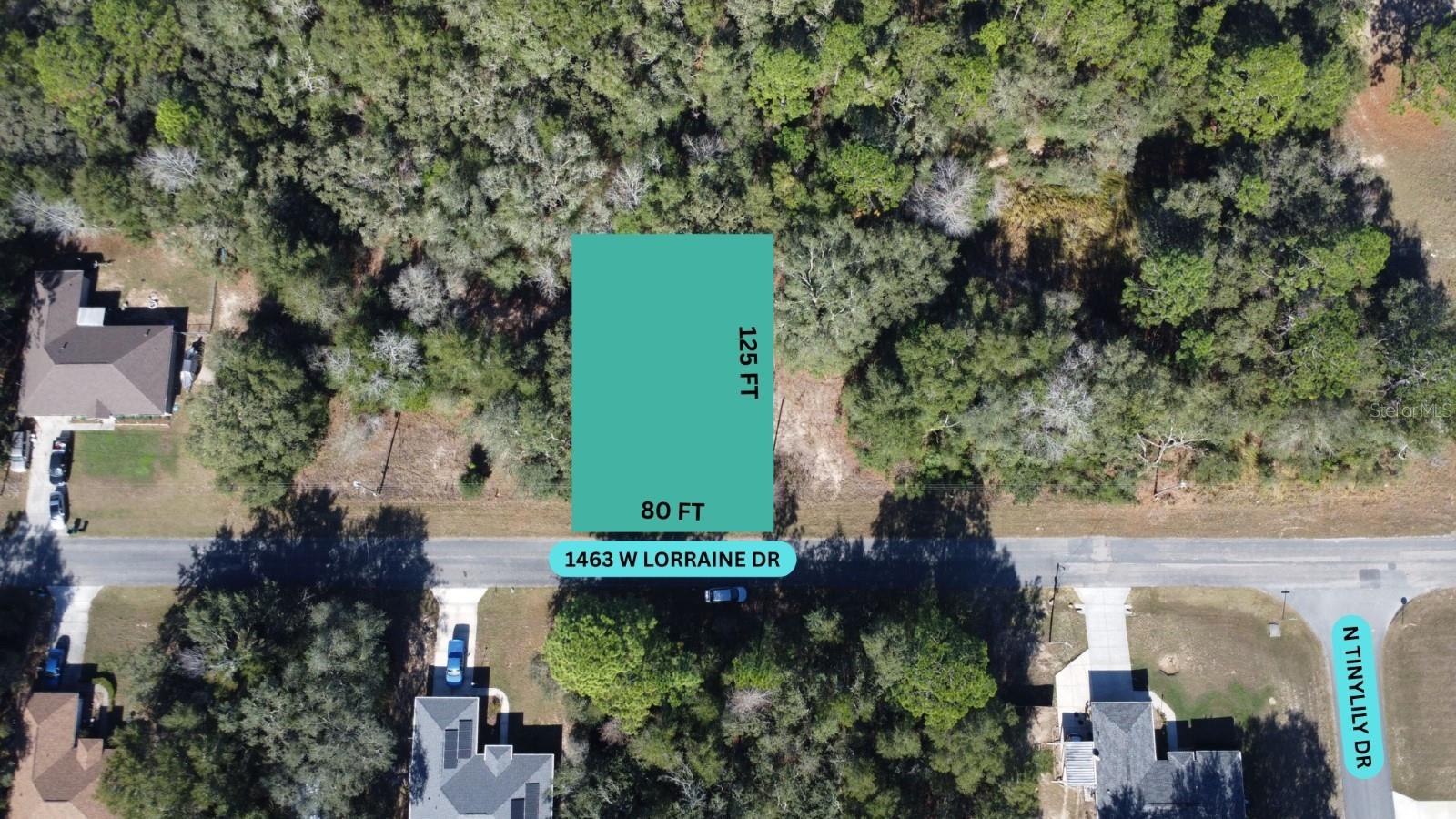 1463 W LORRAINE DR, CITRUS SPRINGS, FL