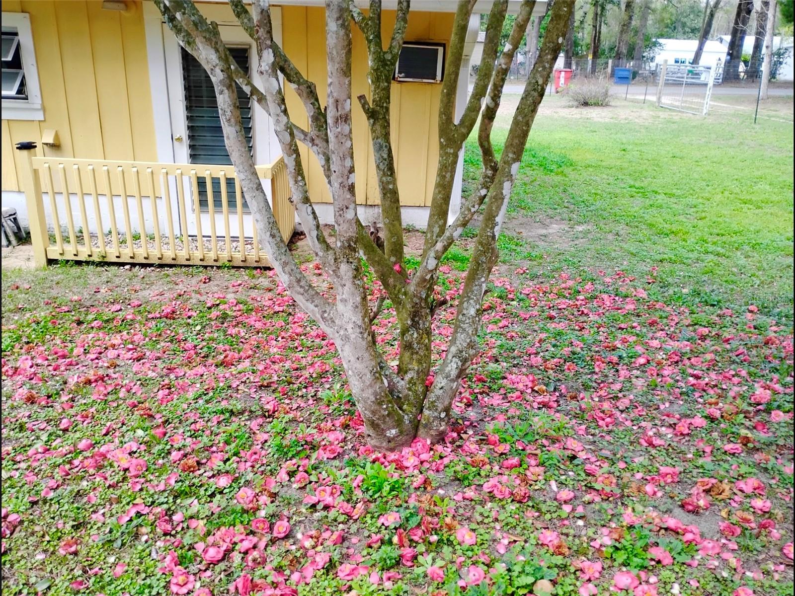 8481 CR 636, BUSHNELL, FL — photo 21