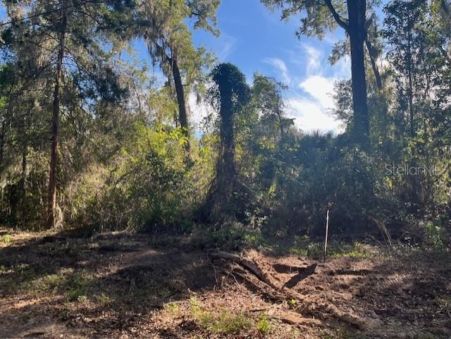 TBD NW 160TH ST, REDDICK, FL