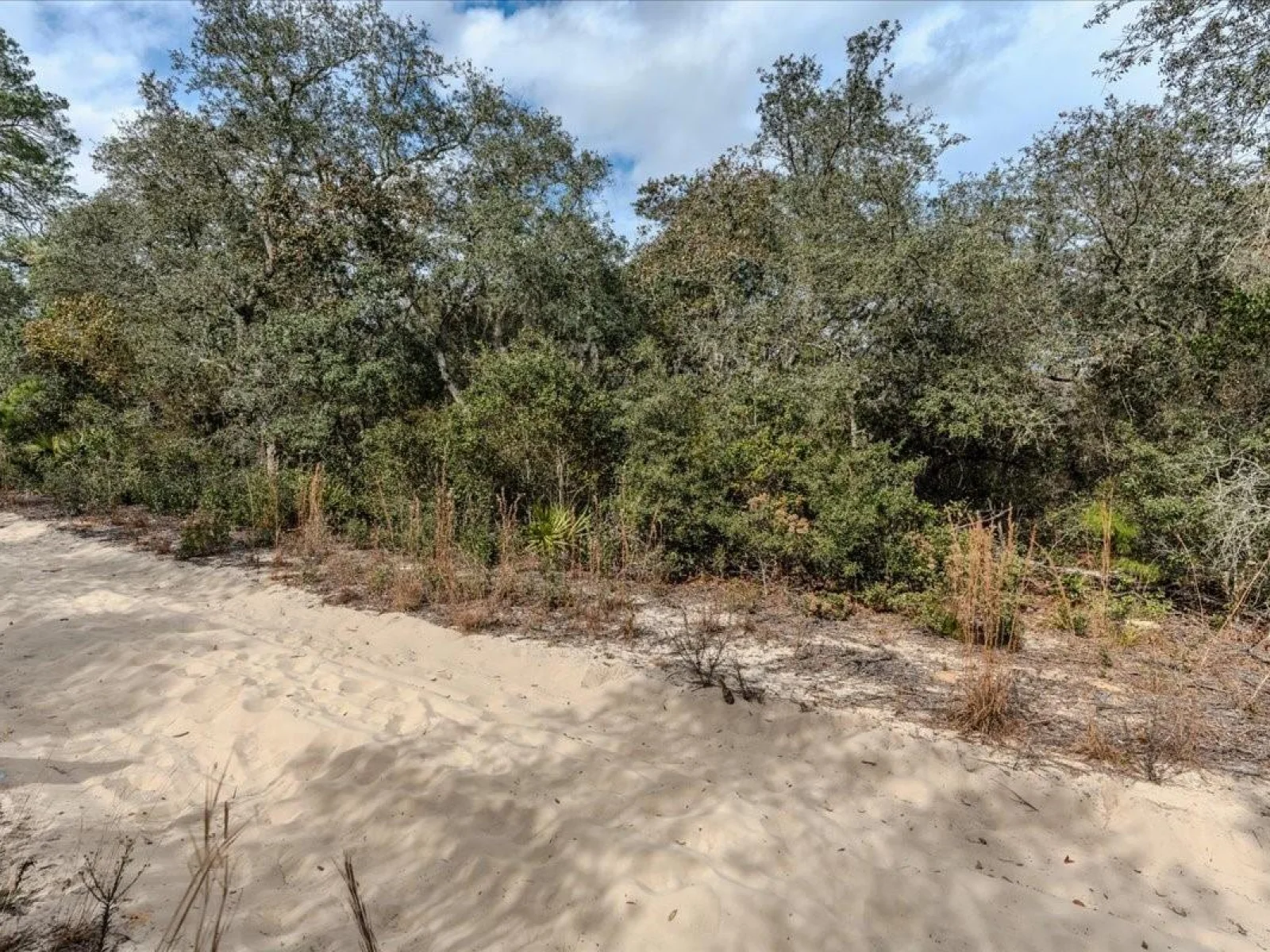 NE 233RD LN, FORT MC COY, FL — photo 9