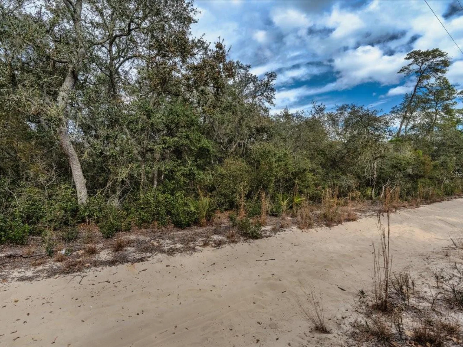NE 233RD LN, FORT MC COY, FL — photo 11