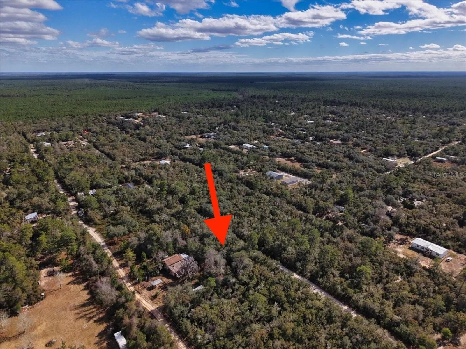 NE 233RD LN, FORT MC COY, FL — photo 14