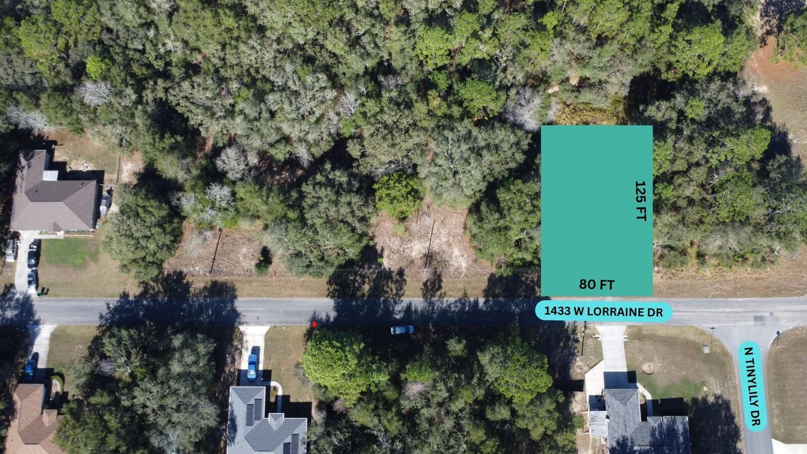 1433 W LORRAINE DR, CITRUS SPRINGS, FL
