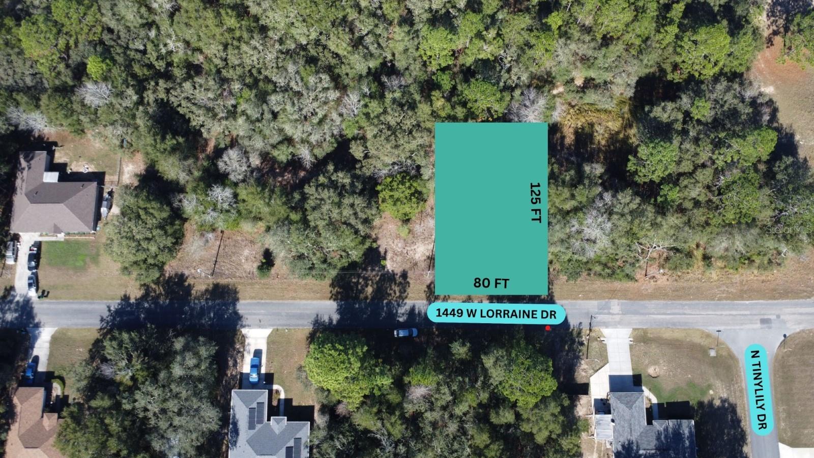 1449 W LORRAINE DR, CITRUS SPRINGS, FL