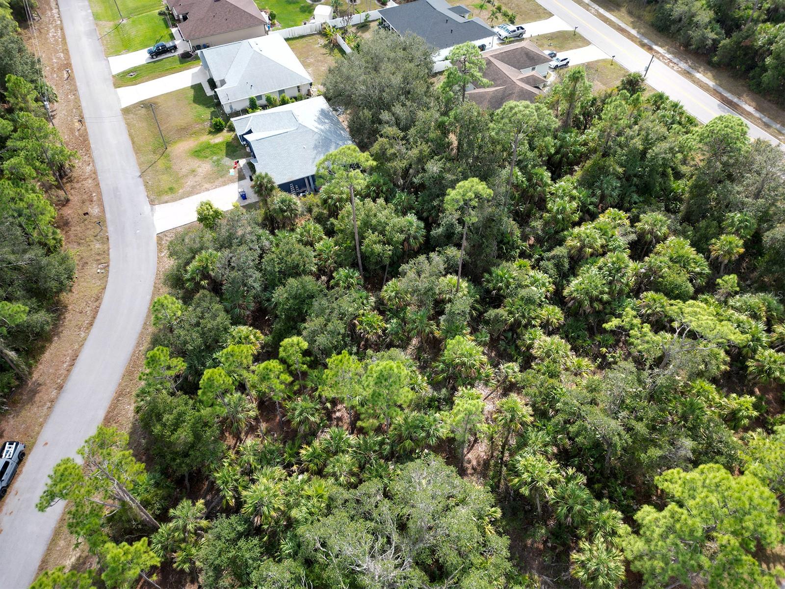 FELIX AVE, NORTH PORT, FL — photo 5