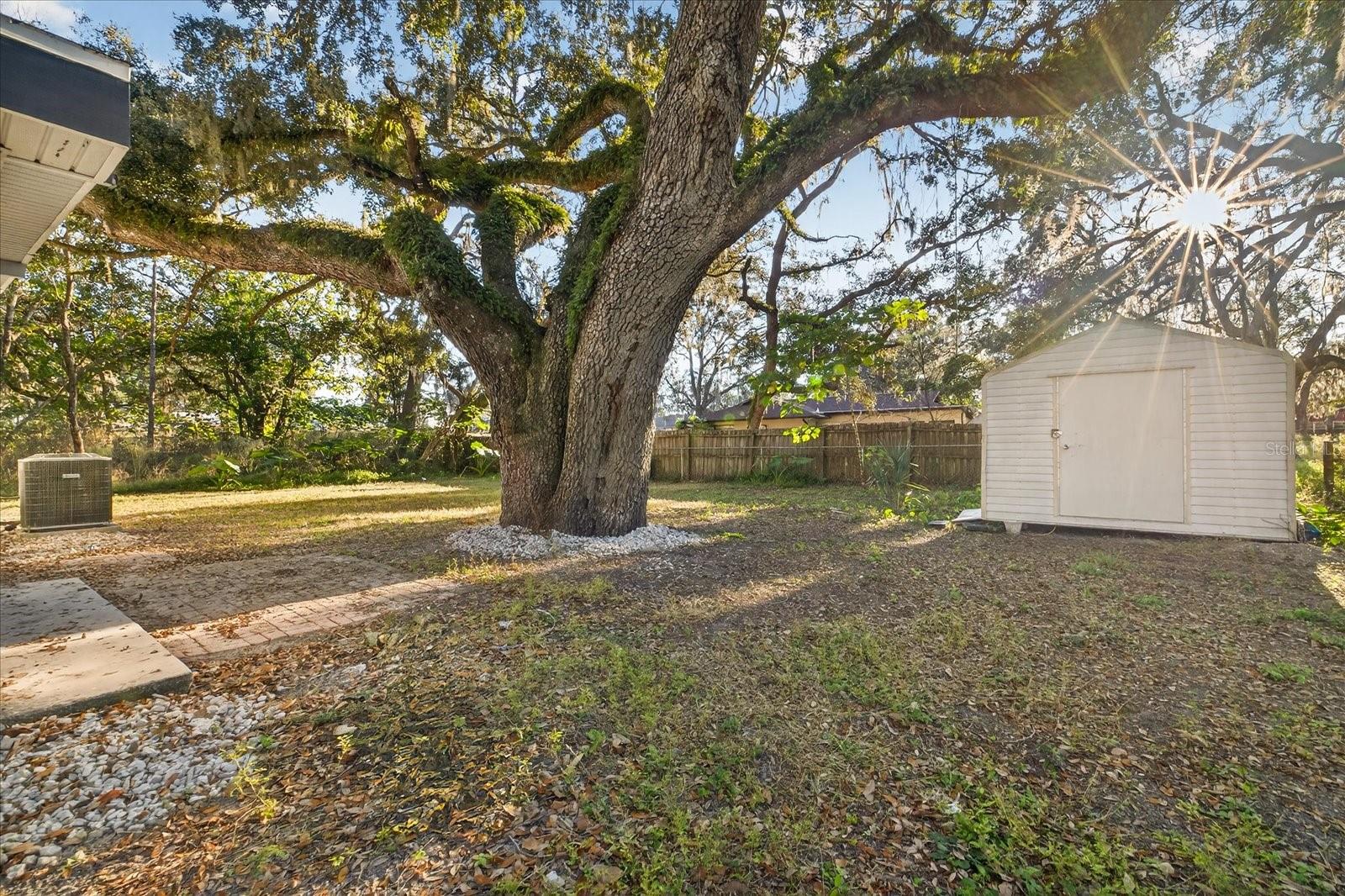 34796 GARDENIA WAY, DADE CITY, FL — photo 31