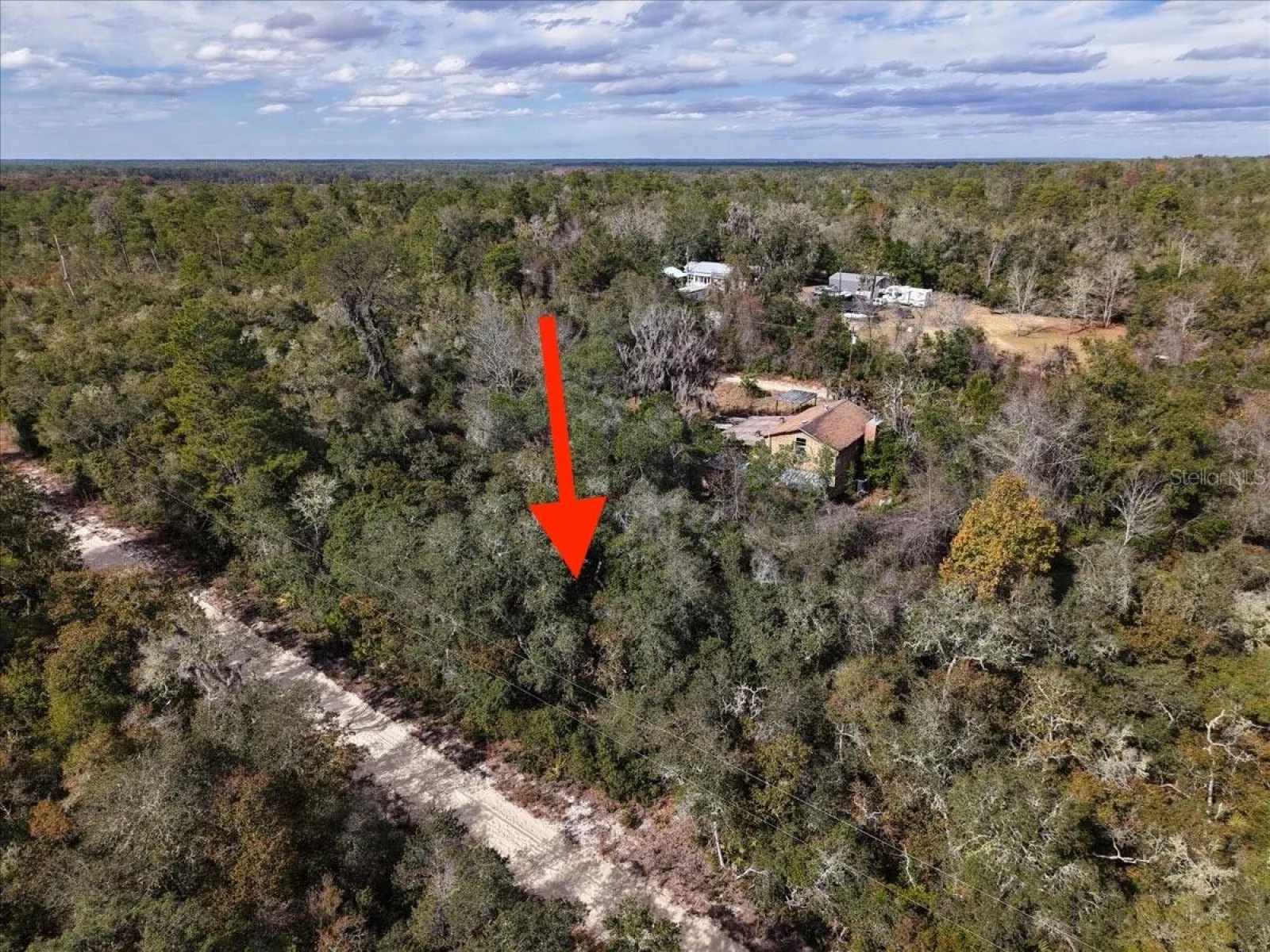NE 233RD LN, FORT MC COY, FL — photo 8