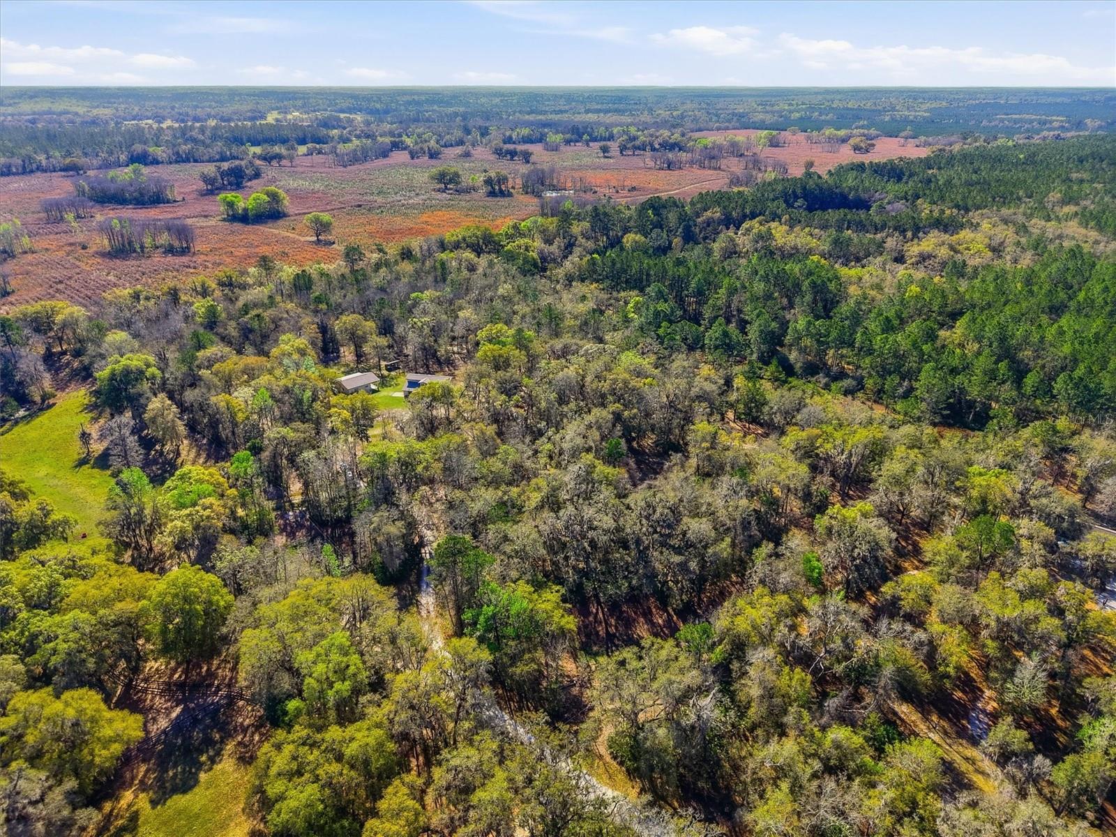 14600 NW 216TH PL, MICANOPY, FL — photo 52
