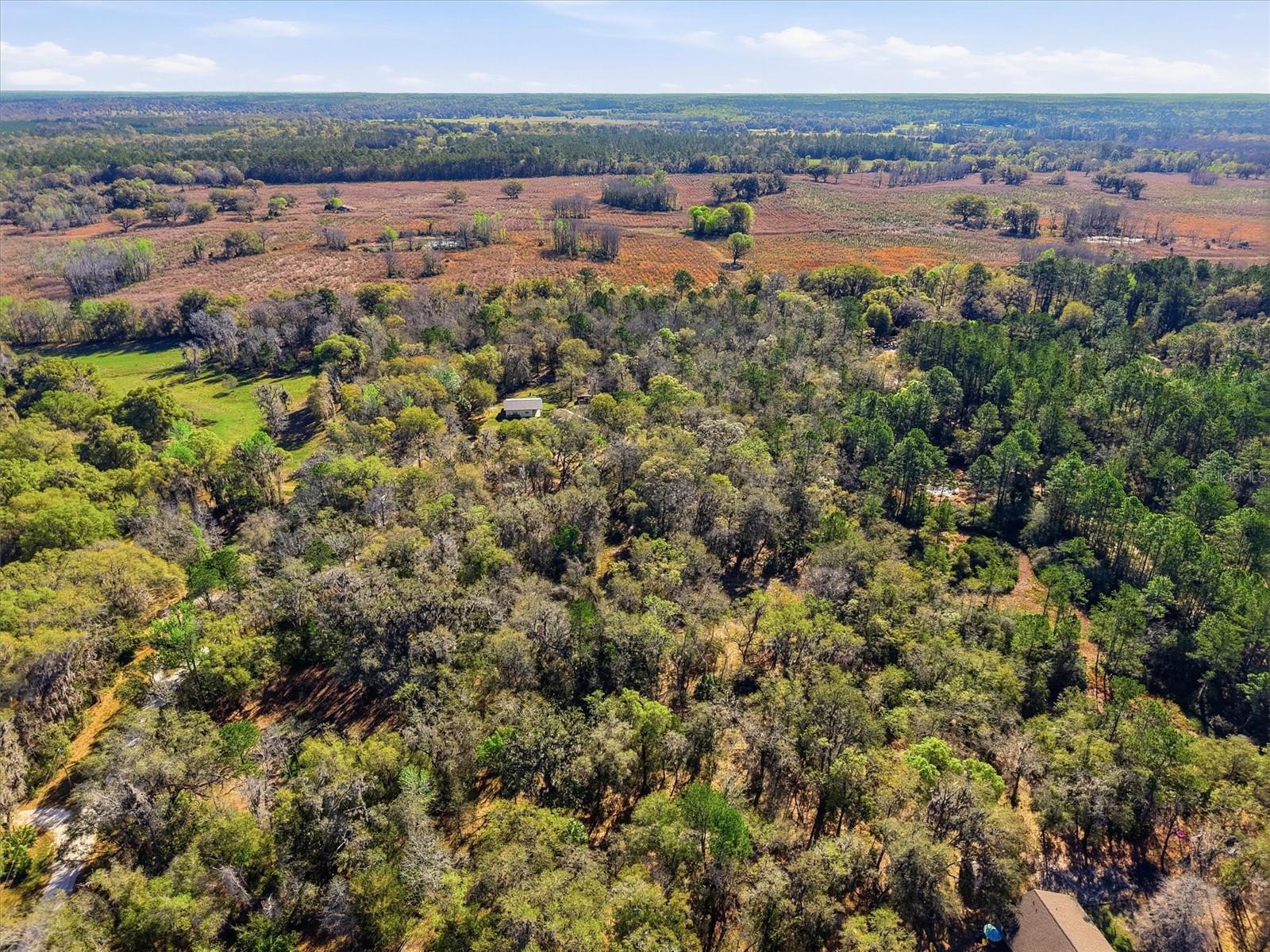 14600 NW 216TH PL, MICANOPY, FL — photo 53