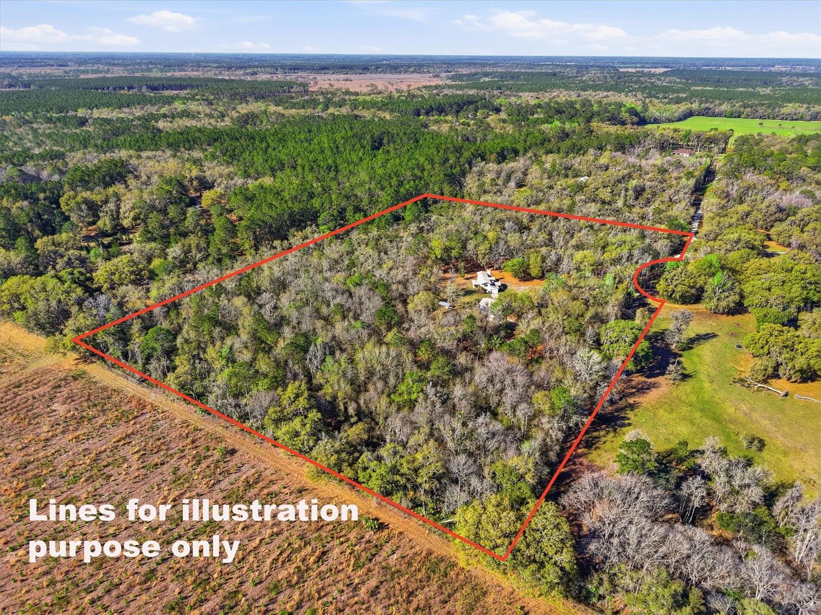 14600 NW 216TH PL, MICANOPY, FL — photo 57