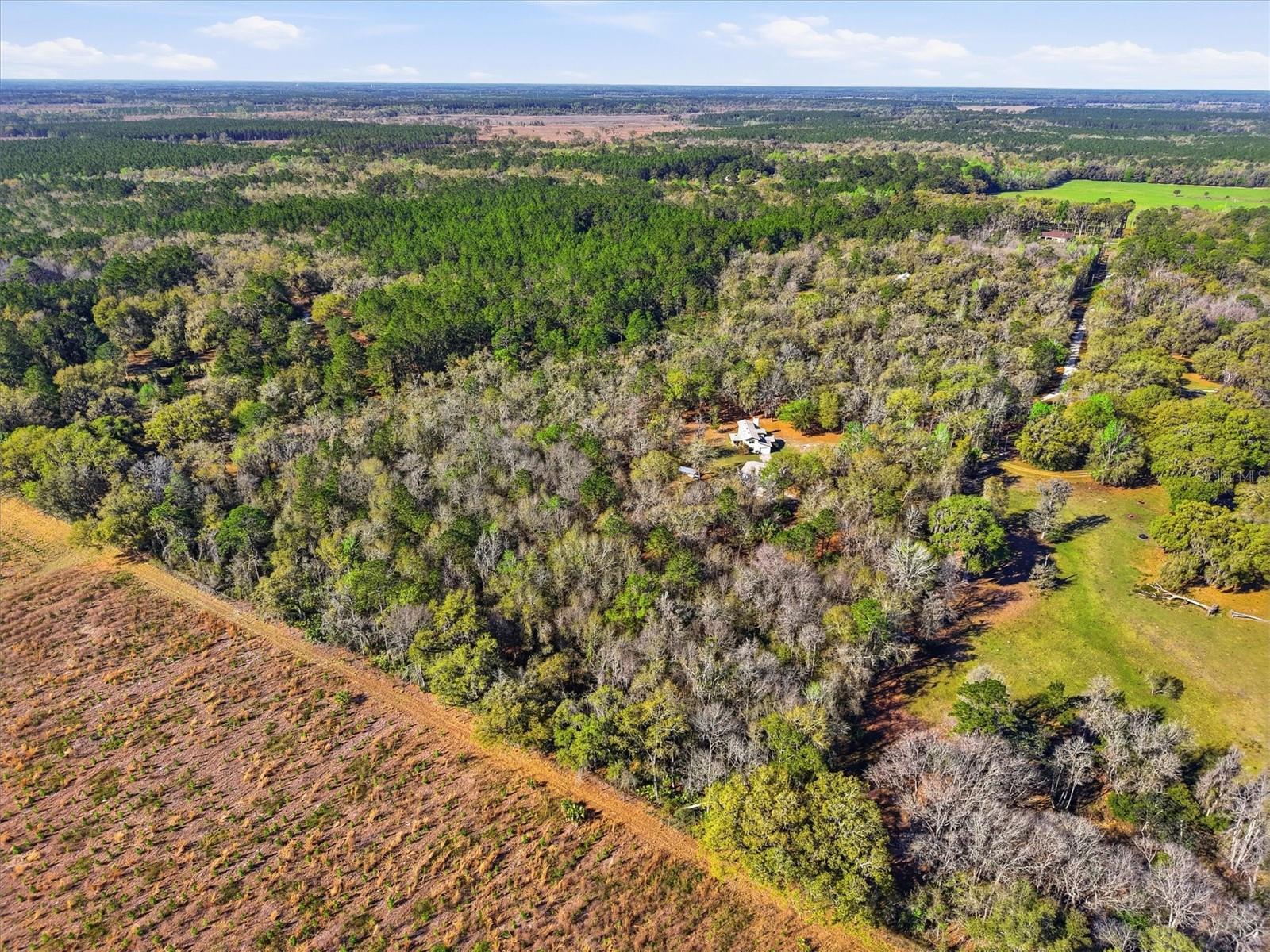 14600 NW 216TH PL, MICANOPY, FL — photo 58