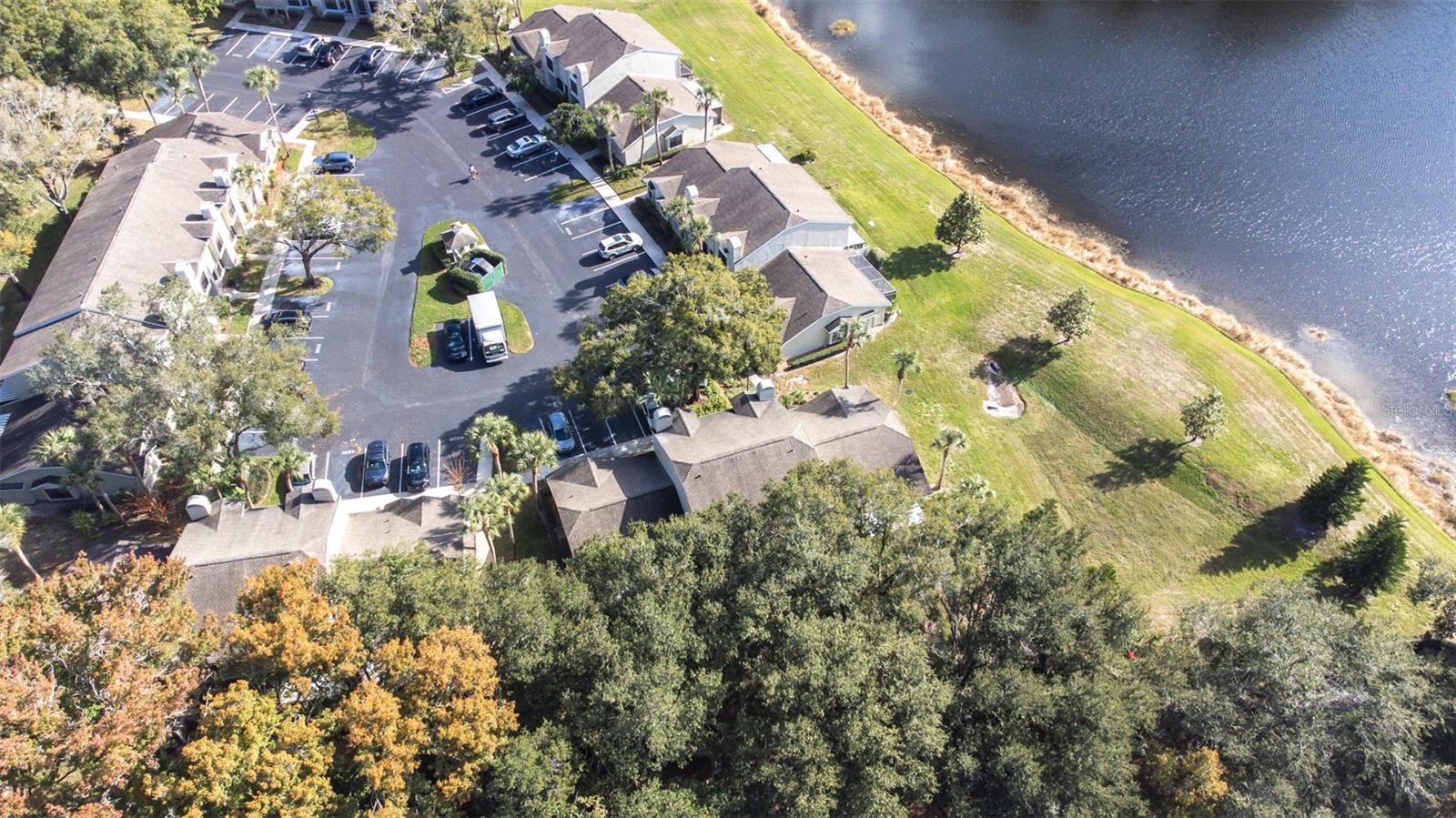 5100 BURCHETTE RD #4102, TAMPA, FL — photo 45