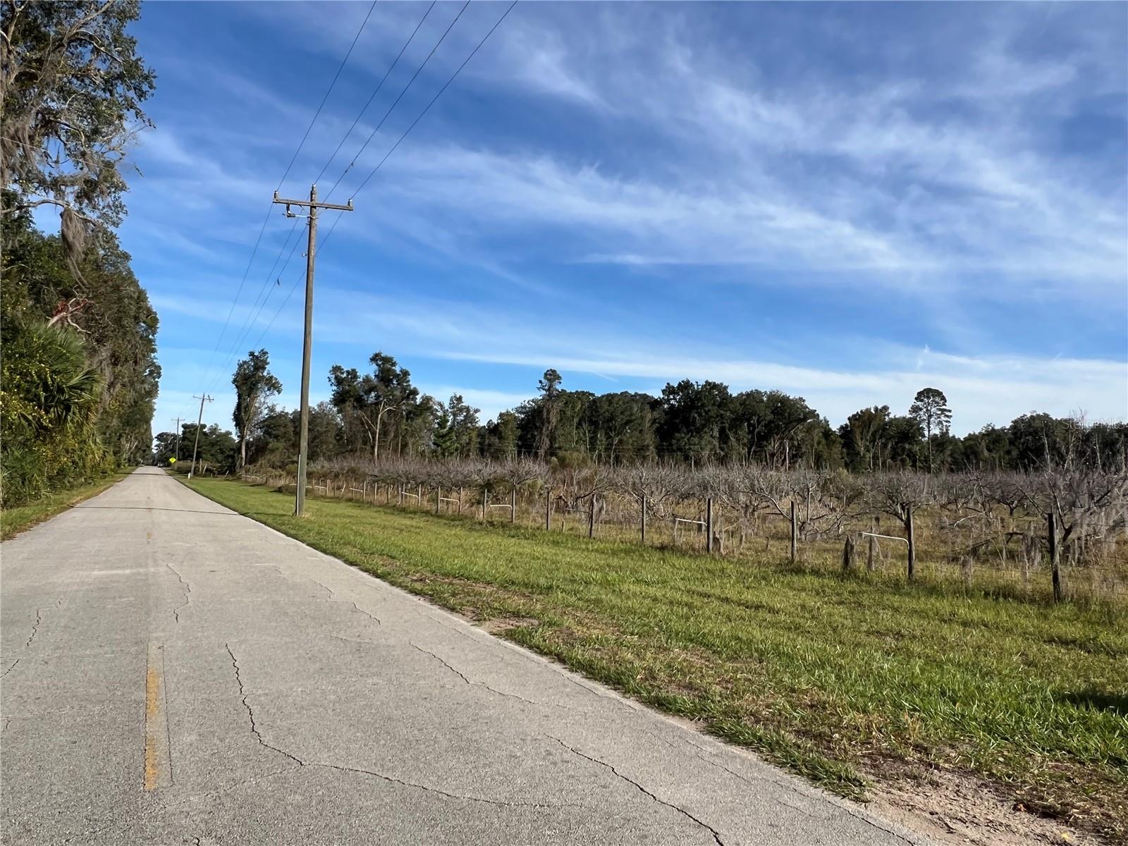 18250 RAVENSWOOD RD, ALTOONA, FL — photo 4