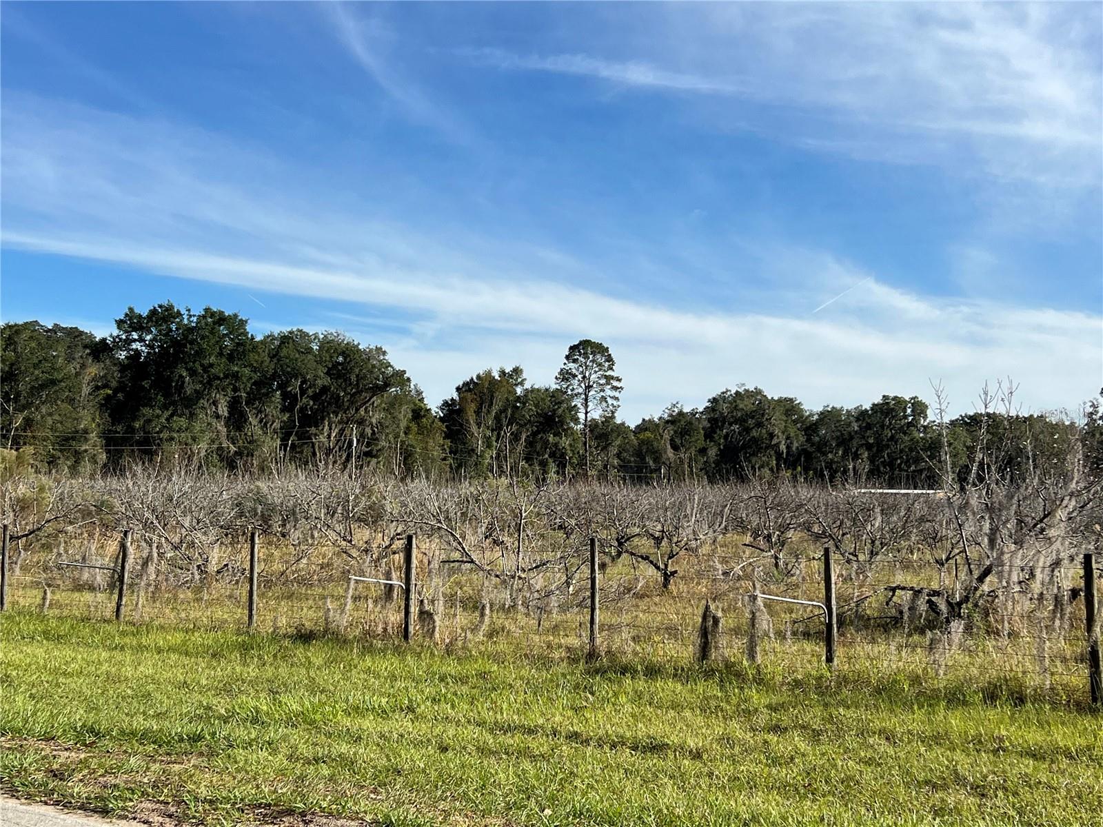 18250 RAVENSWOOD RD, ALTOONA, FL — photo 6