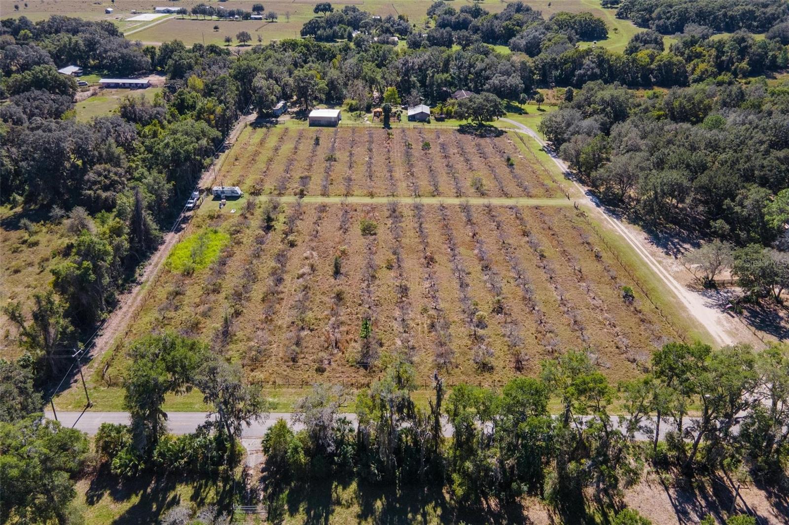 18250 RAVENSWOOD RD, ALTOONA, FL — photo 10