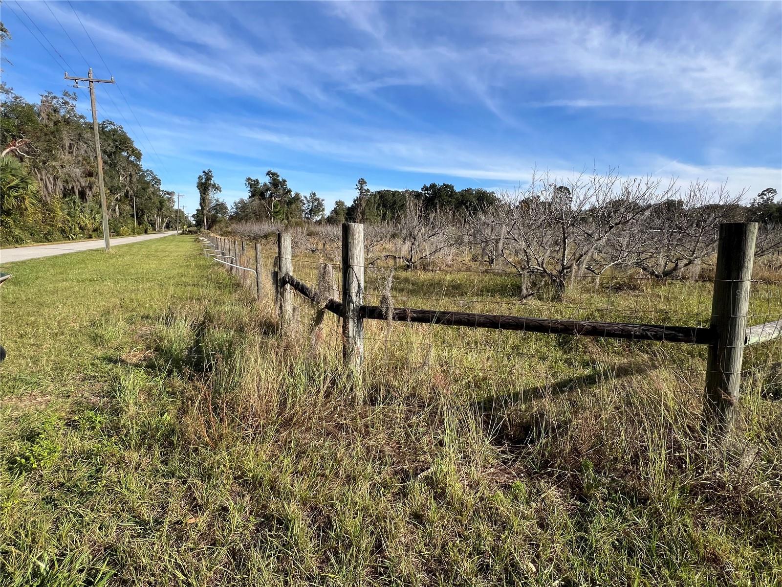 18250 RAVENSWOOD RD, ALTOONA, FL — photo 11