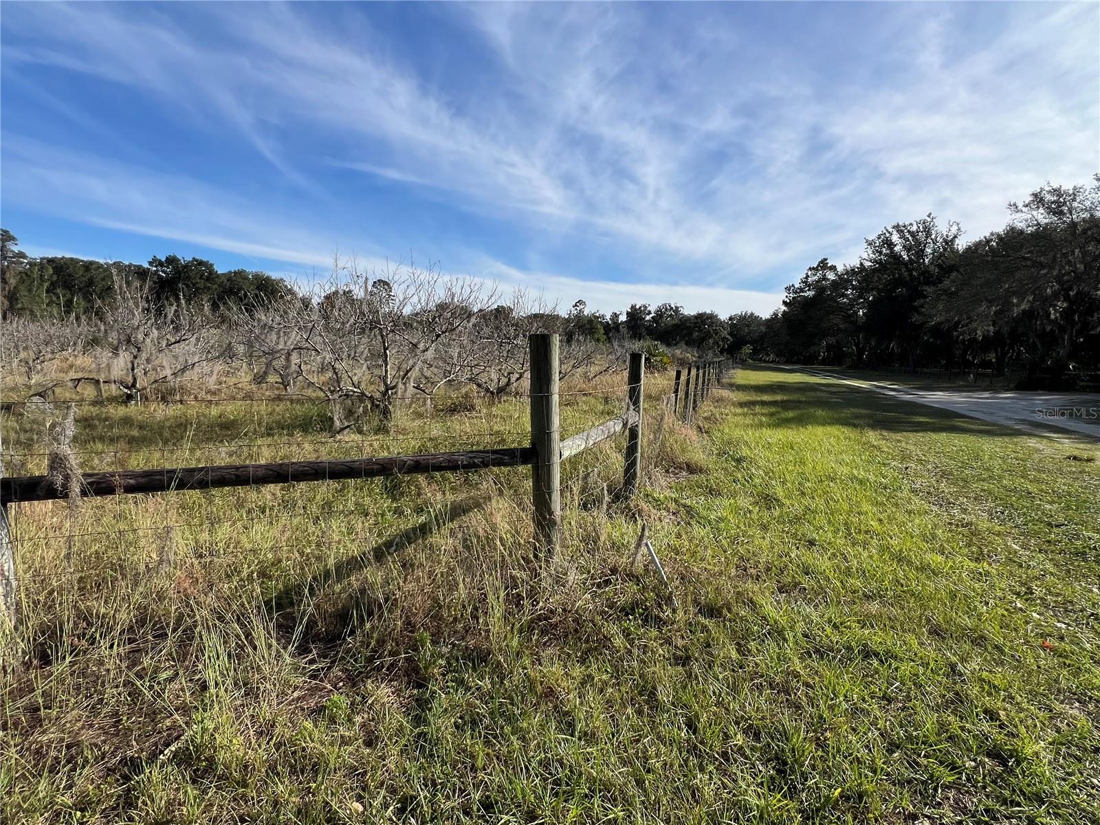 18250 RAVENSWOOD RD, ALTOONA, FL — photo 13