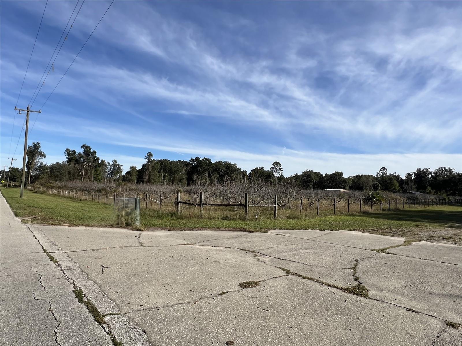 18250 RAVENSWOOD RD, ALTOONA, FL — photo 22