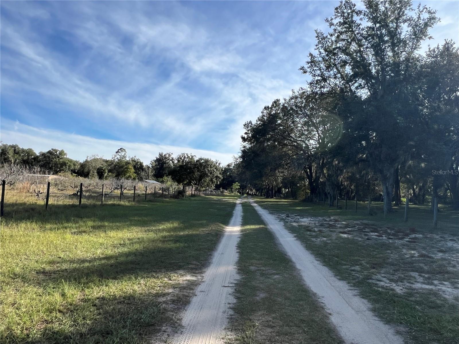 18250 RAVENSWOOD RD, ALTOONA, FL — photo 24