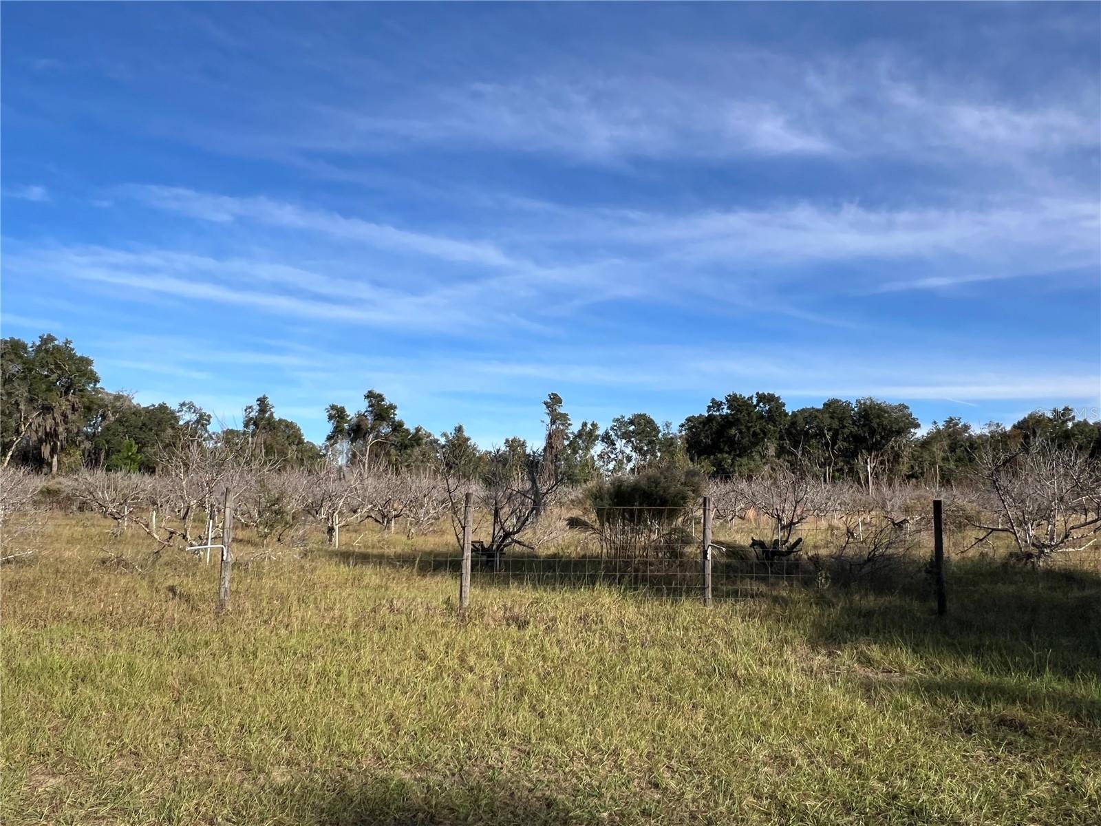 18250 RAVENSWOOD RD, ALTOONA, FL — photo 25
