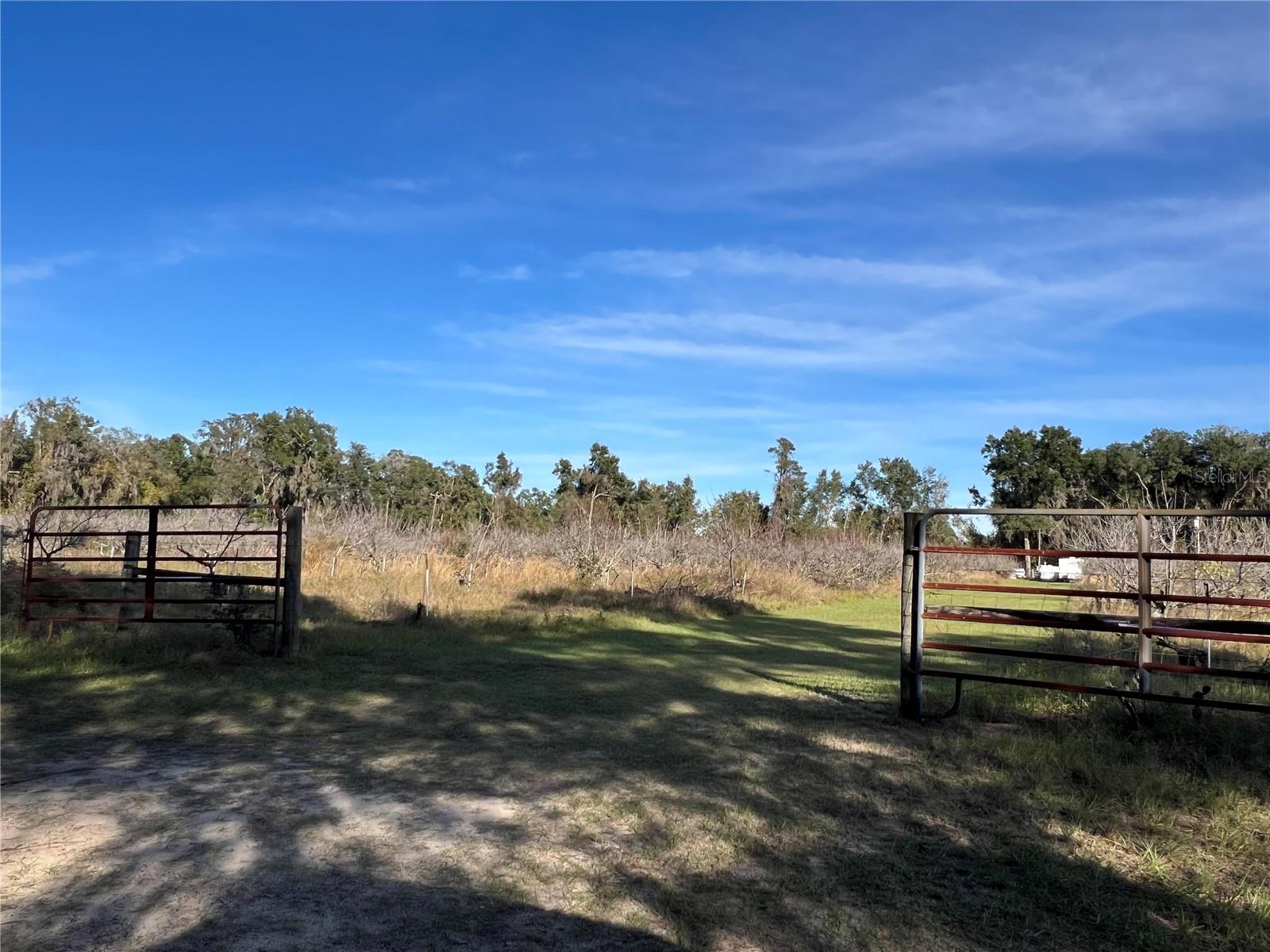 18250 RAVENSWOOD RD, ALTOONA, FL — photo 30