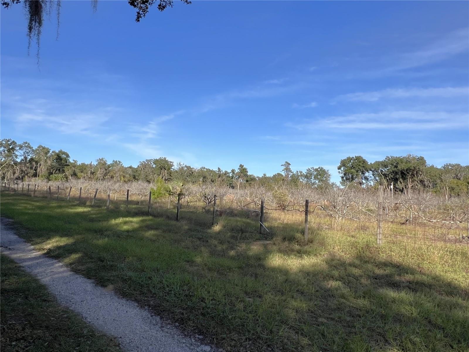 18250 RAVENSWOOD RD, ALTOONA, FL — photo 31