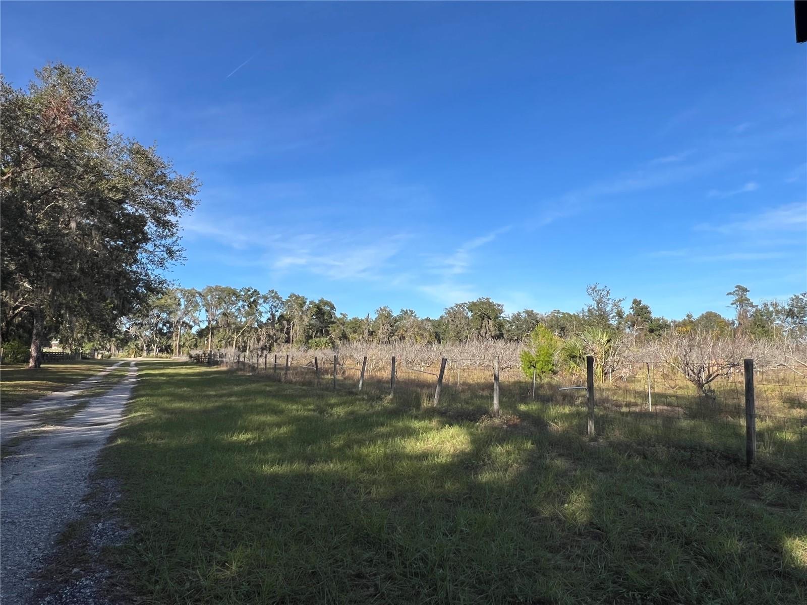18250 RAVENSWOOD RD, ALTOONA, FL — photo 34