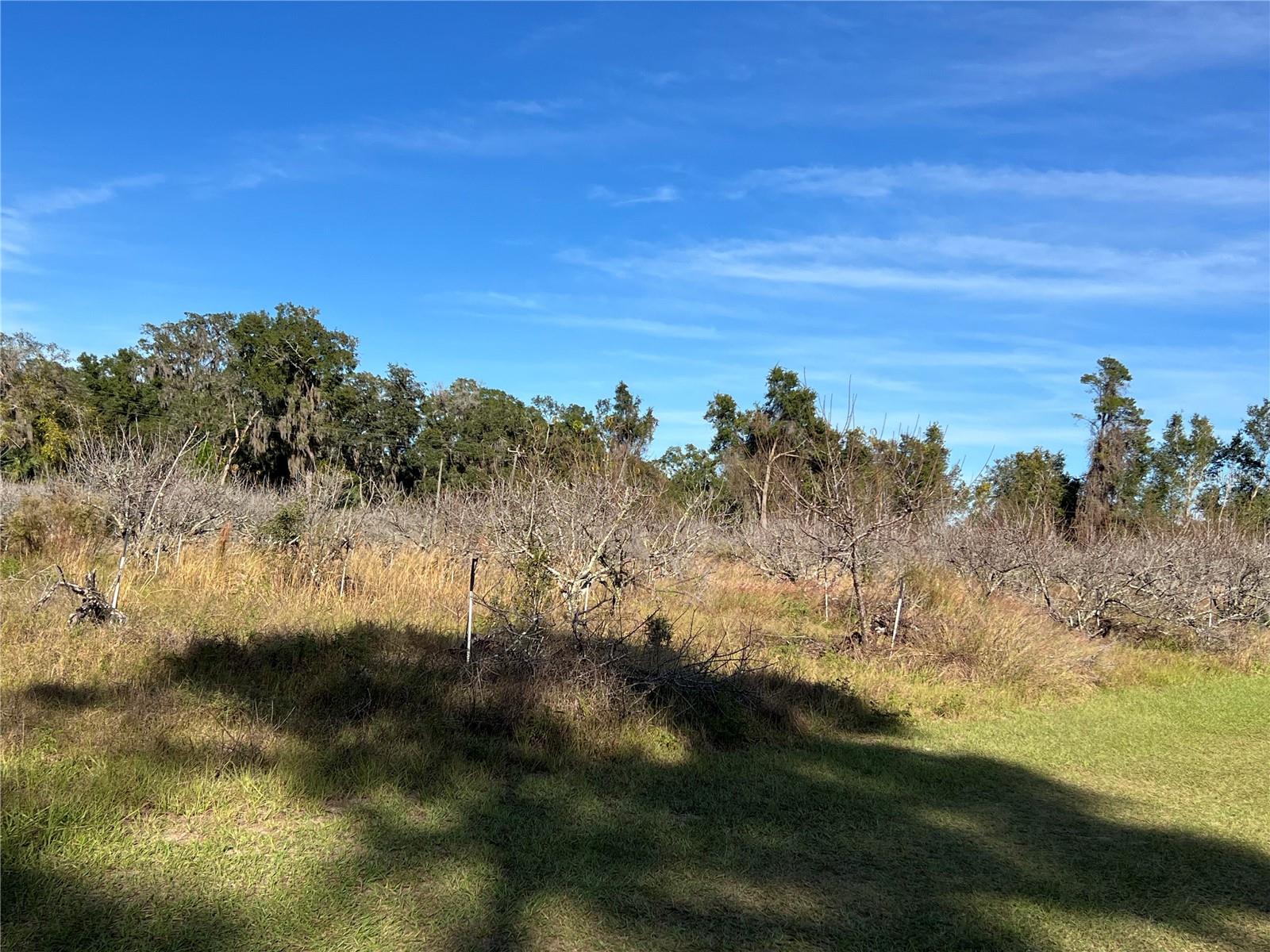 18250 RAVENSWOOD RD, ALTOONA, FL — photo 36