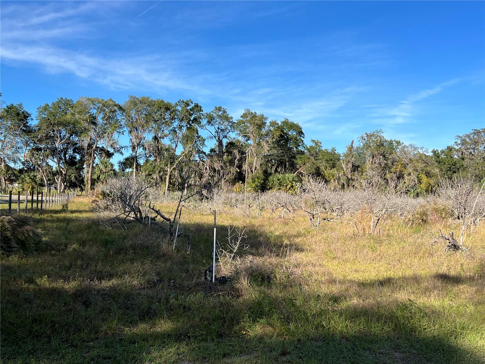 18250 RAVENSWOOD RD, ALTOONA, FL — photo 37