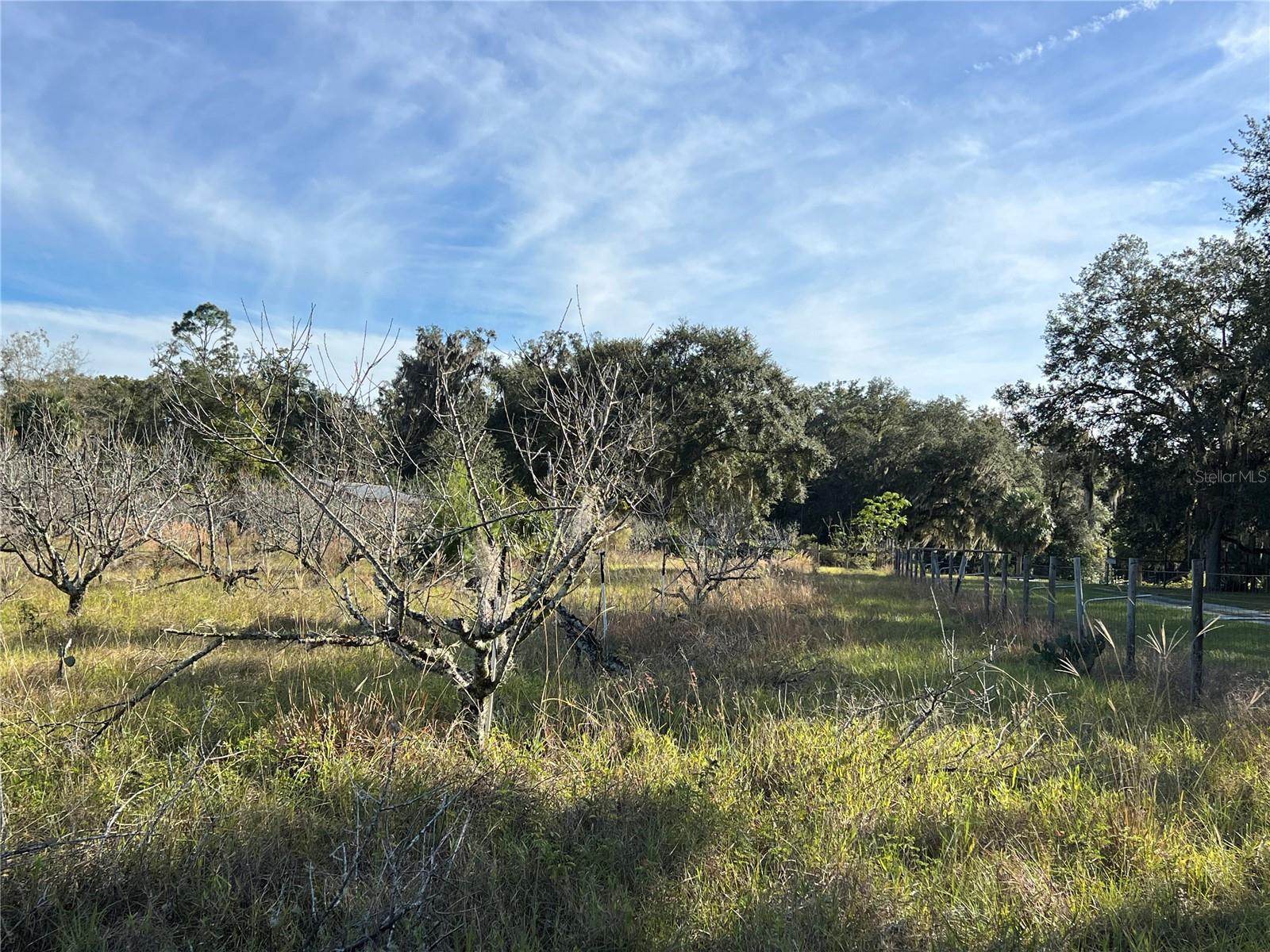 18250 RAVENSWOOD RD, ALTOONA, FL — photo 40